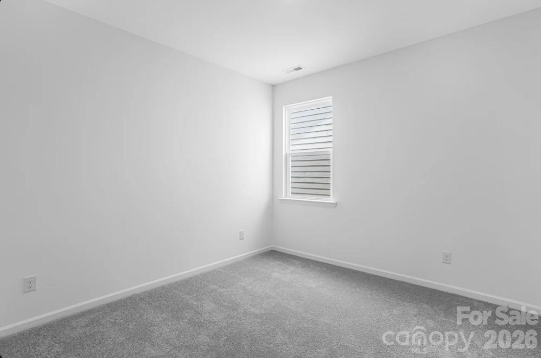 17029 Walker Wylie Drive Property Photo 21
