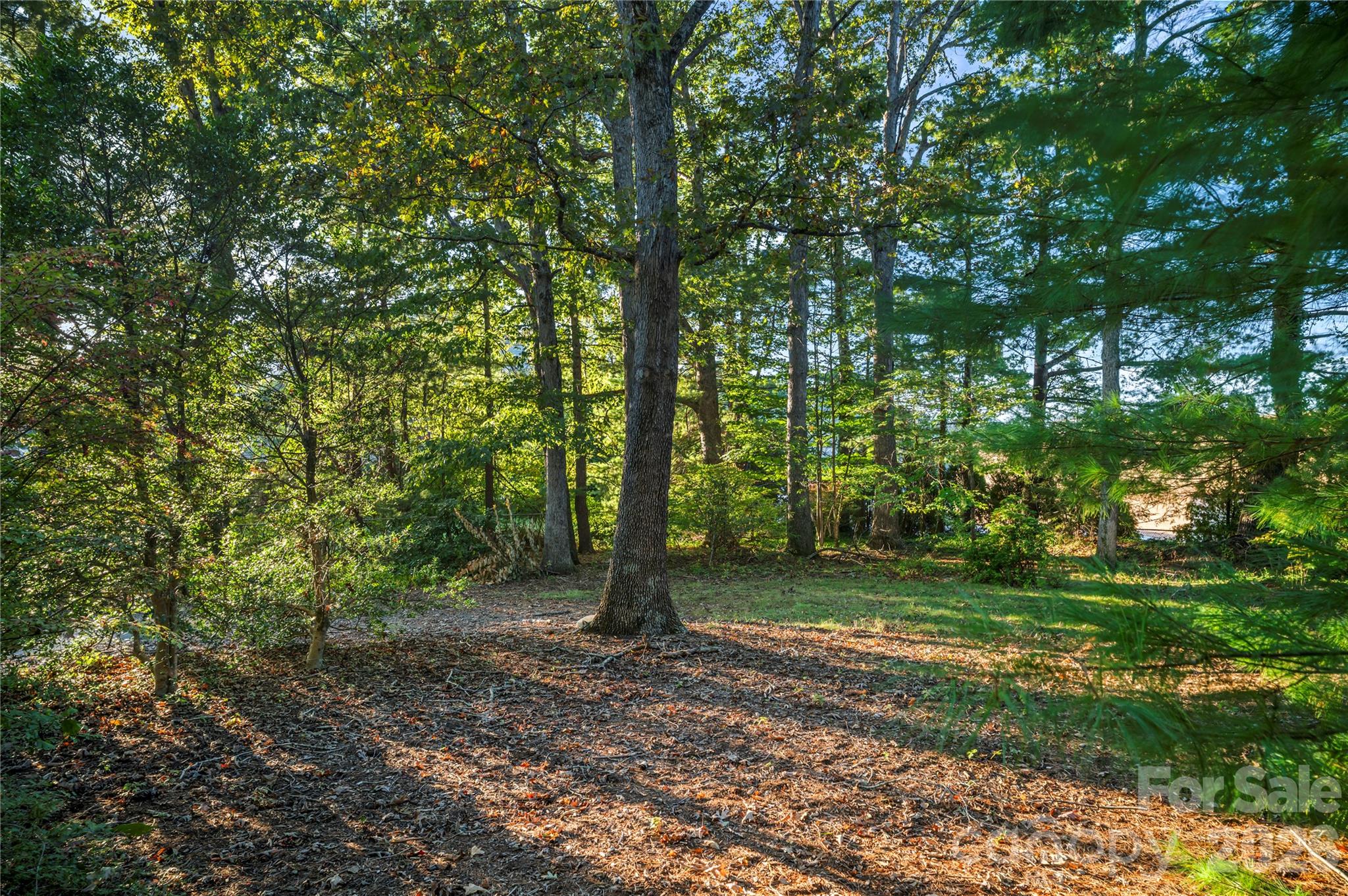 9 Fullam Drive Property Photo 44