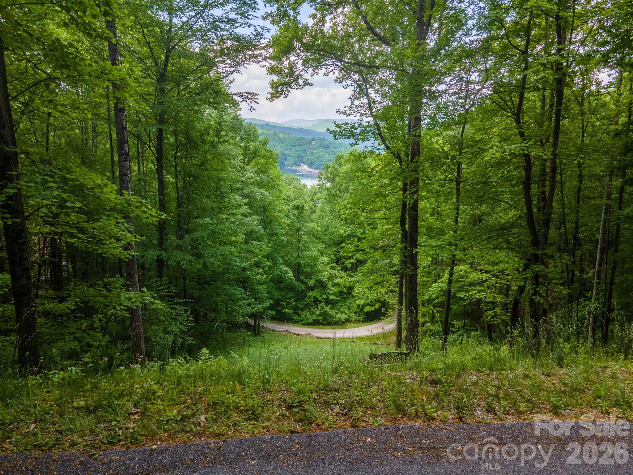 Lt 10 Von Trapp Lane 10 Property Photo 1