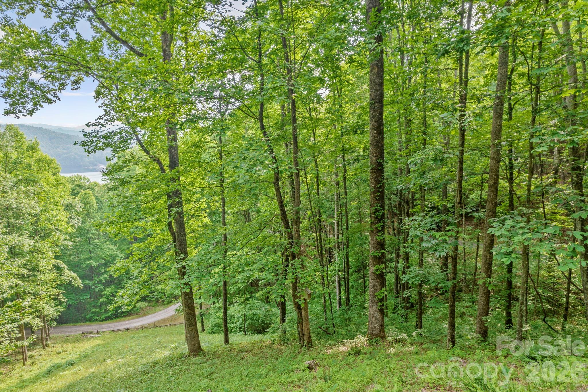 Lt 10 Von Trapp Lane 10 Property Photo 5
