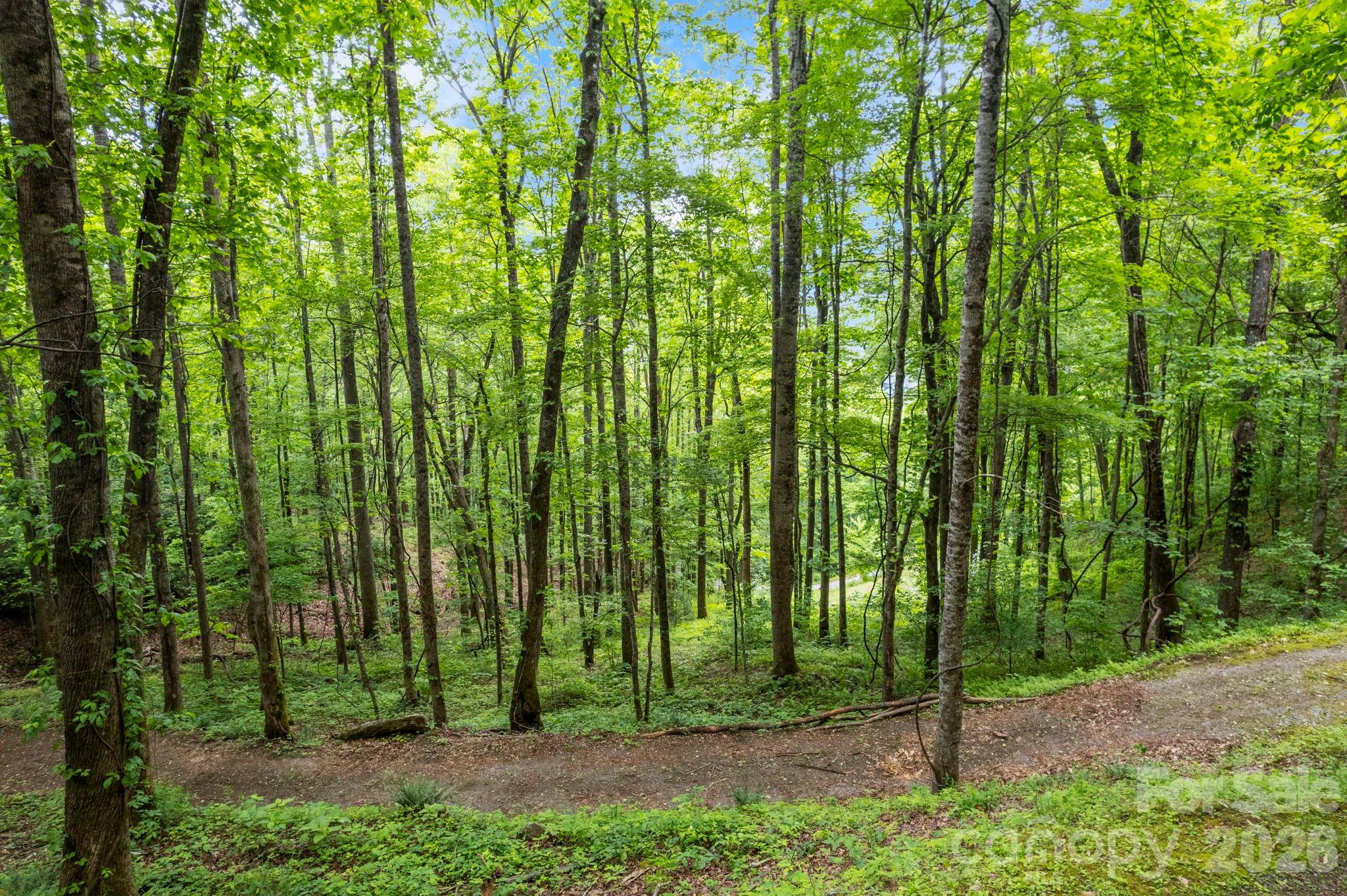 Lt 10 Von Trapp Lane 10 Property Photo 11