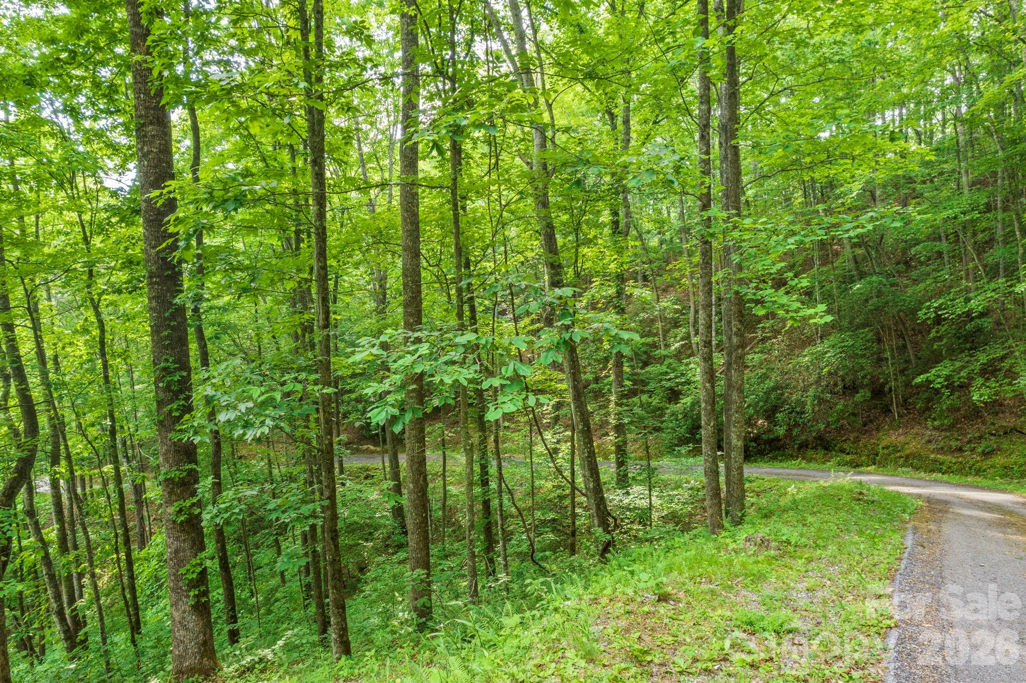 Lt 10 Von Trapp Lane 10 Property Photo 12