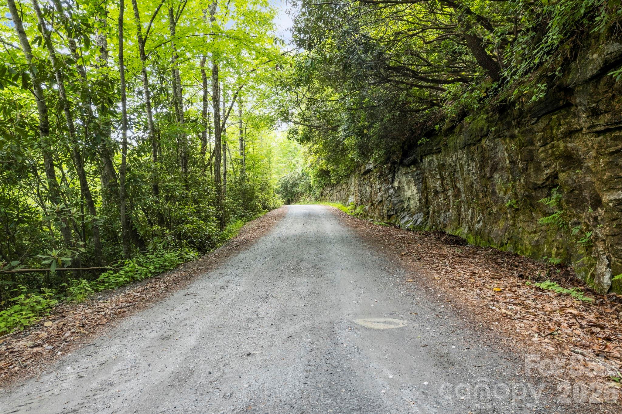 Lt 10 Von Trapp Lane 10 Property Photo 16