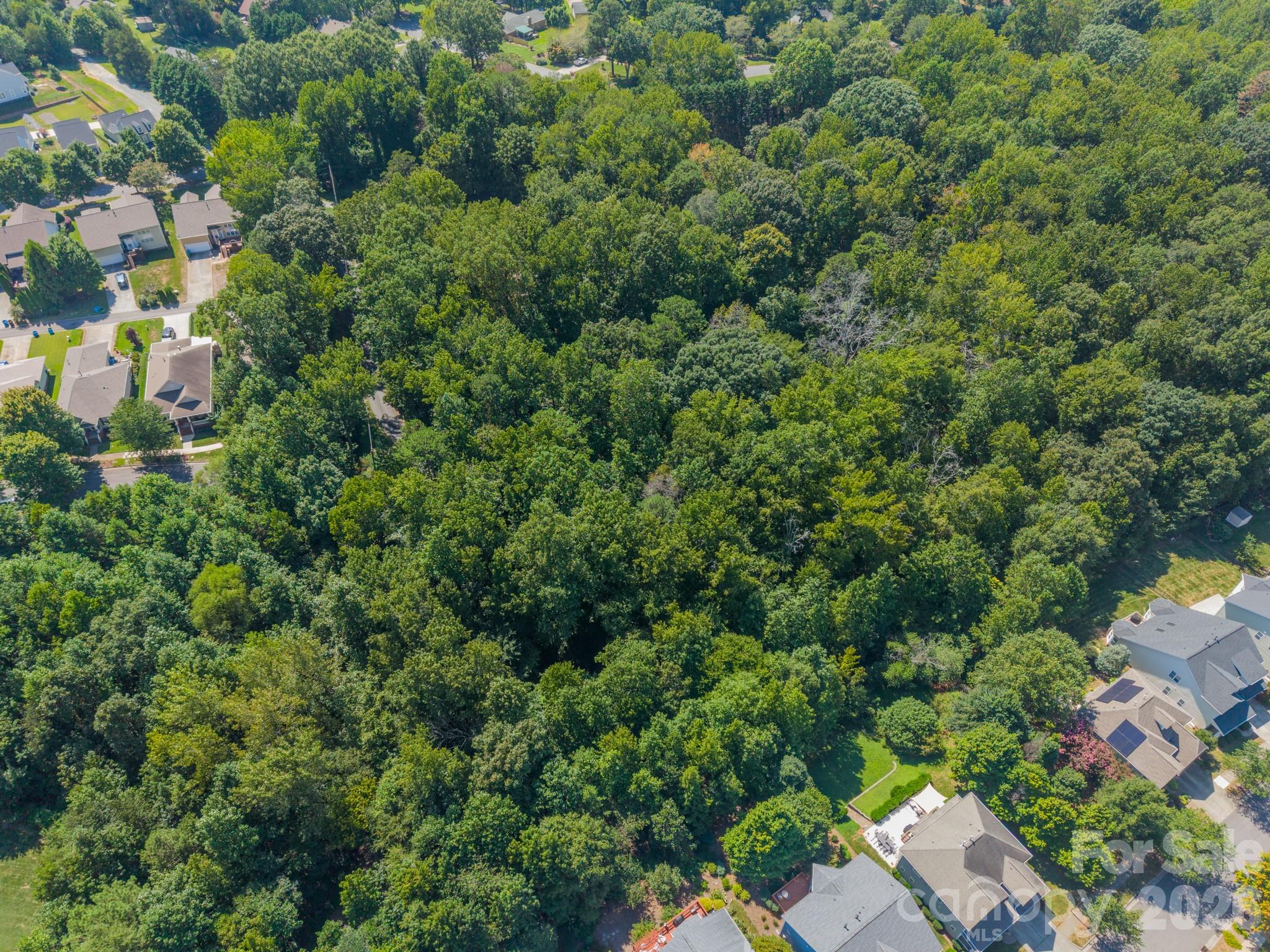 0 Phyliss Lane Property Photo 6