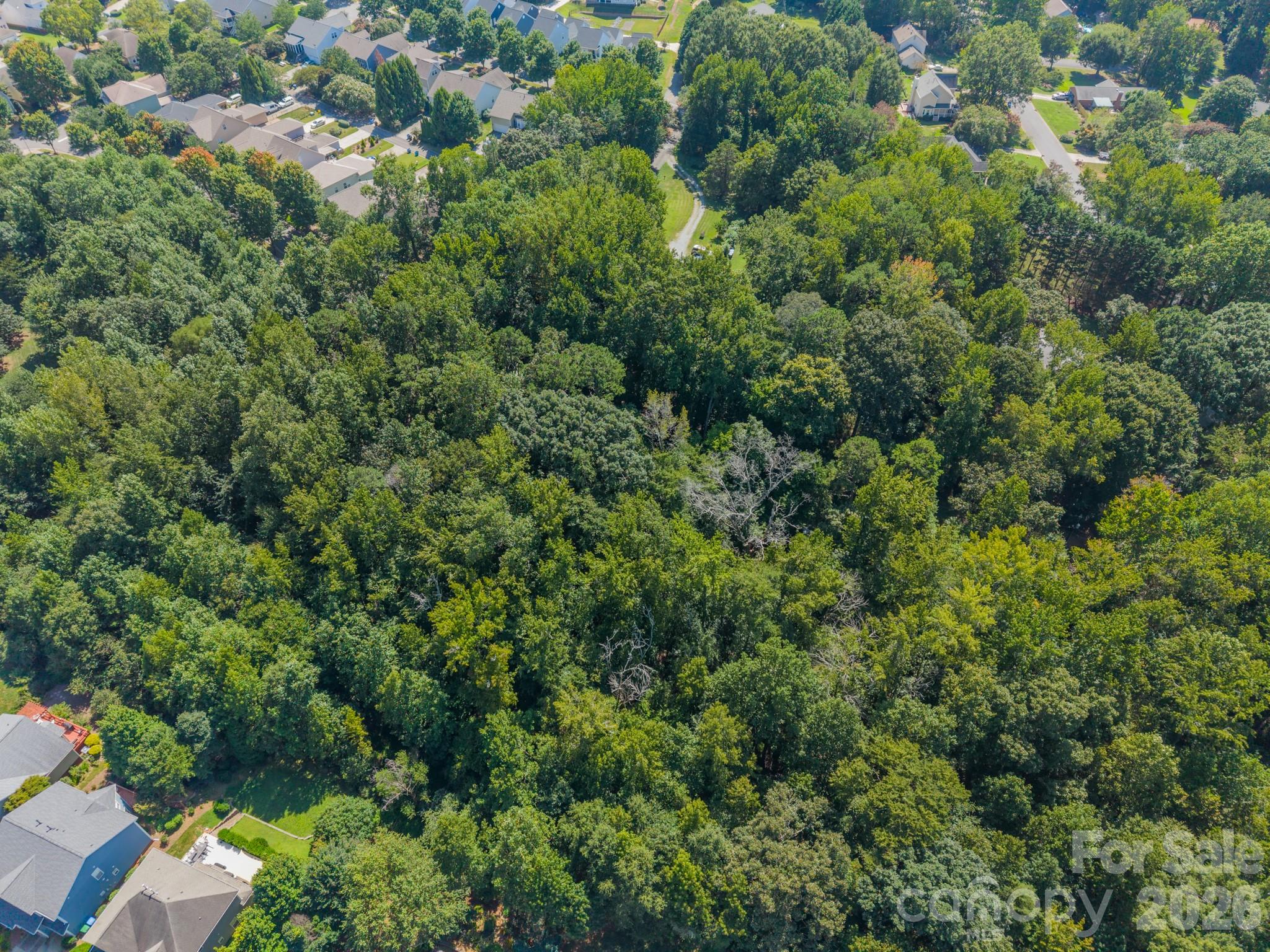 0 Phyliss Lane Property Photo 7