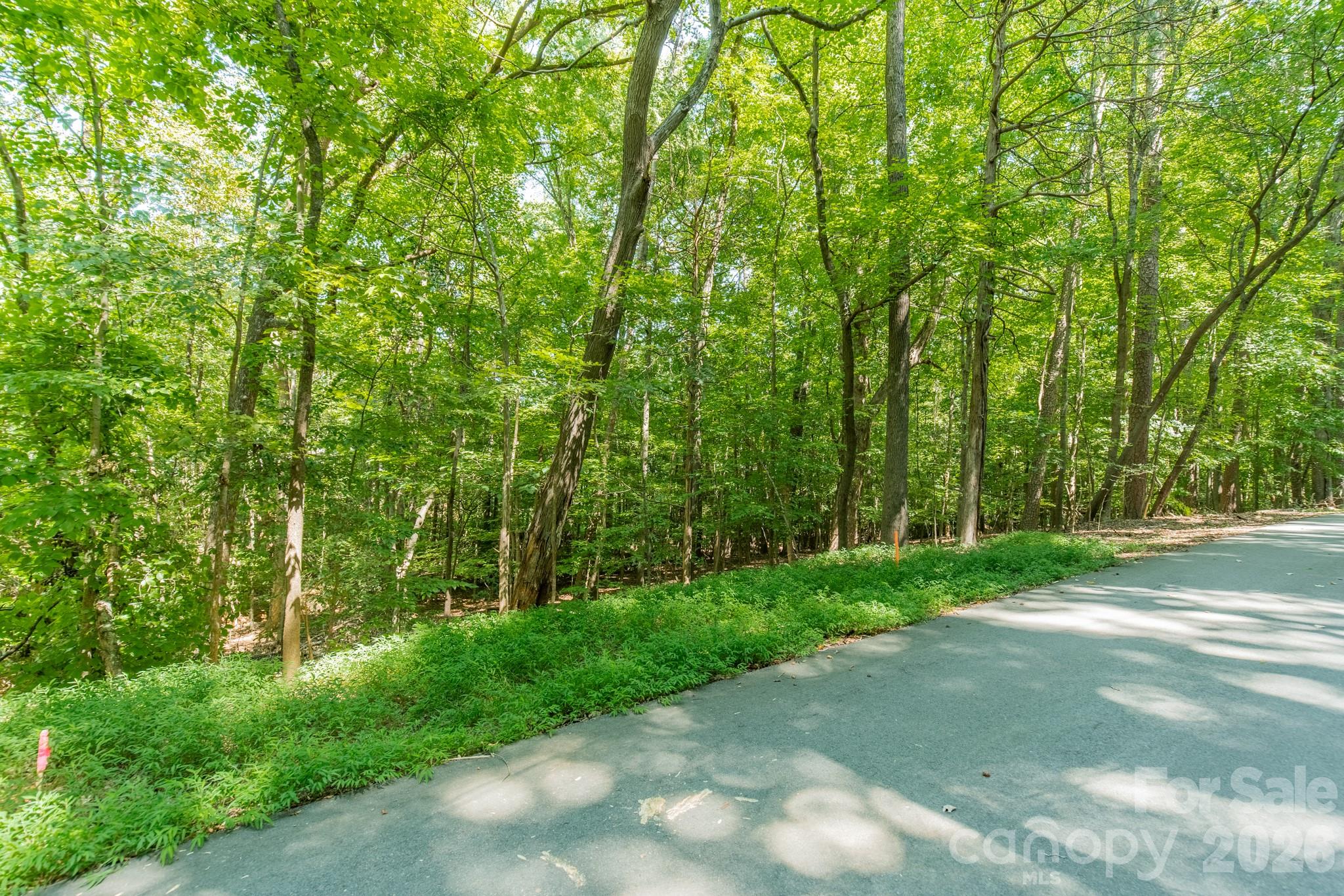 0 Phyliss Lane Property Photo 8