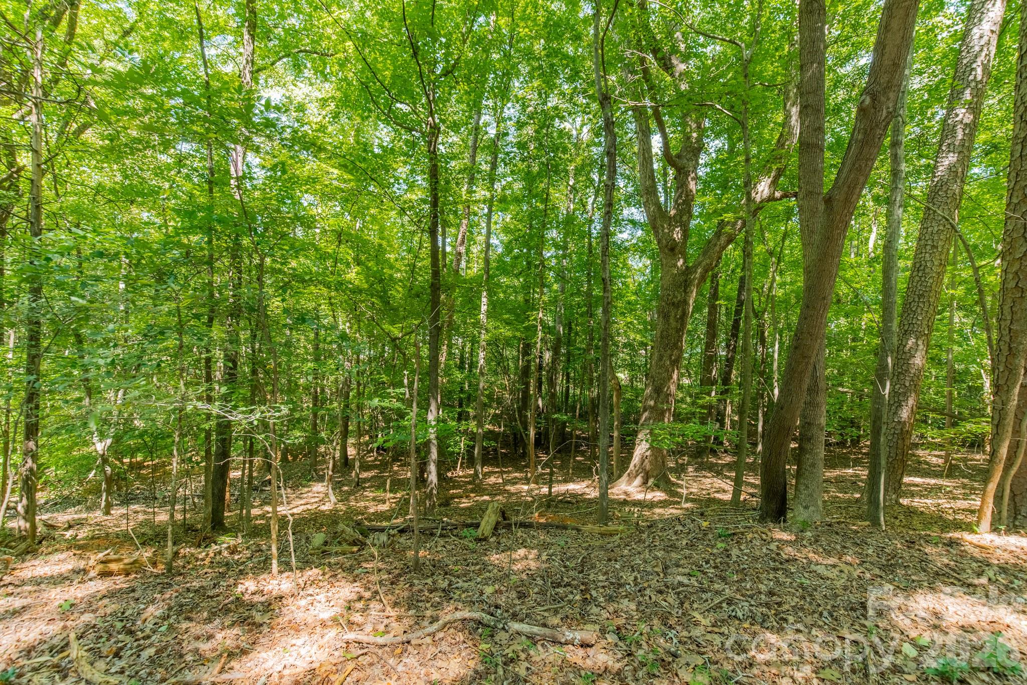 0 Phyliss Lane Property Photo 9