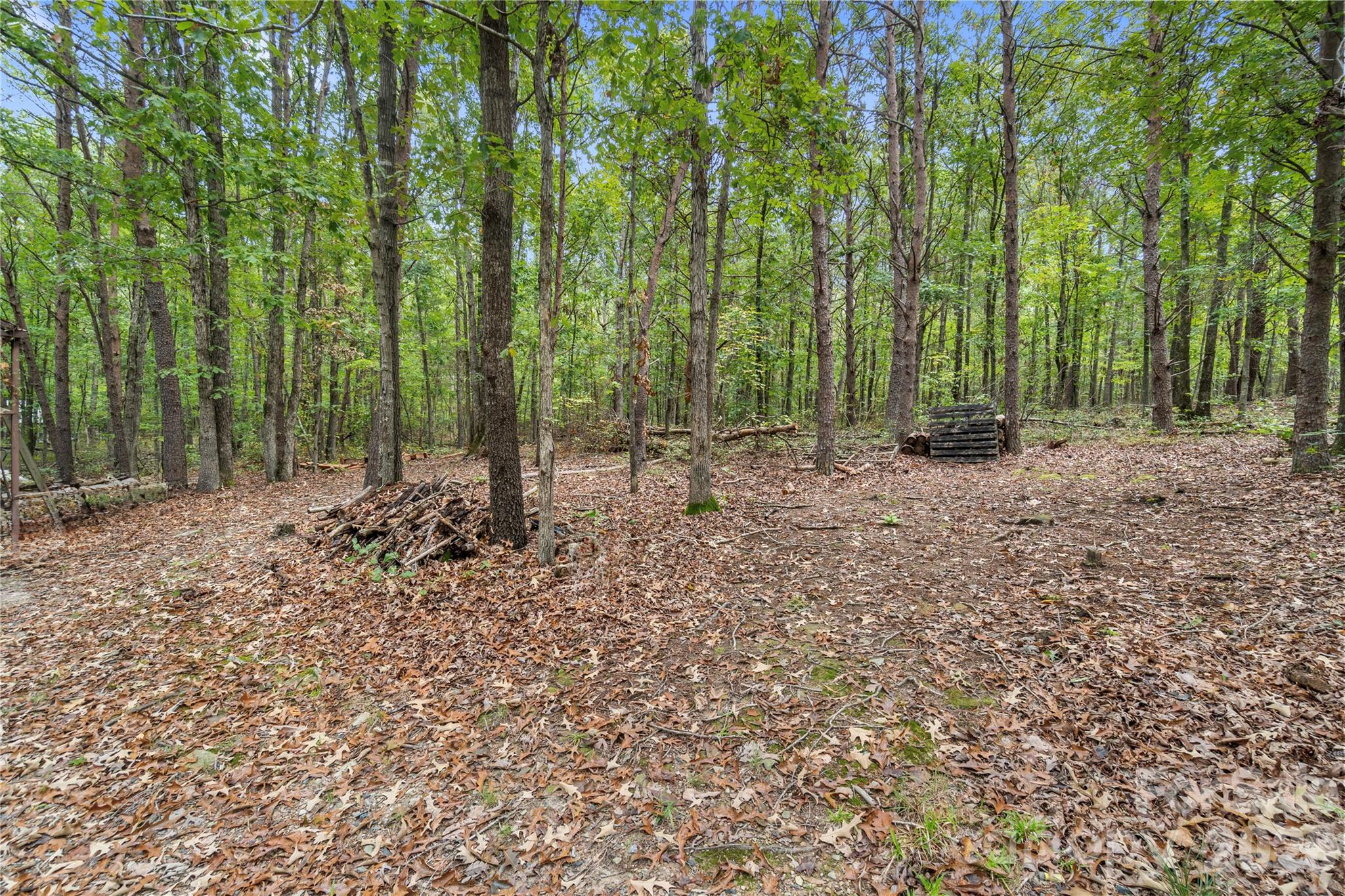 15810 Silver Road Property Photo 25