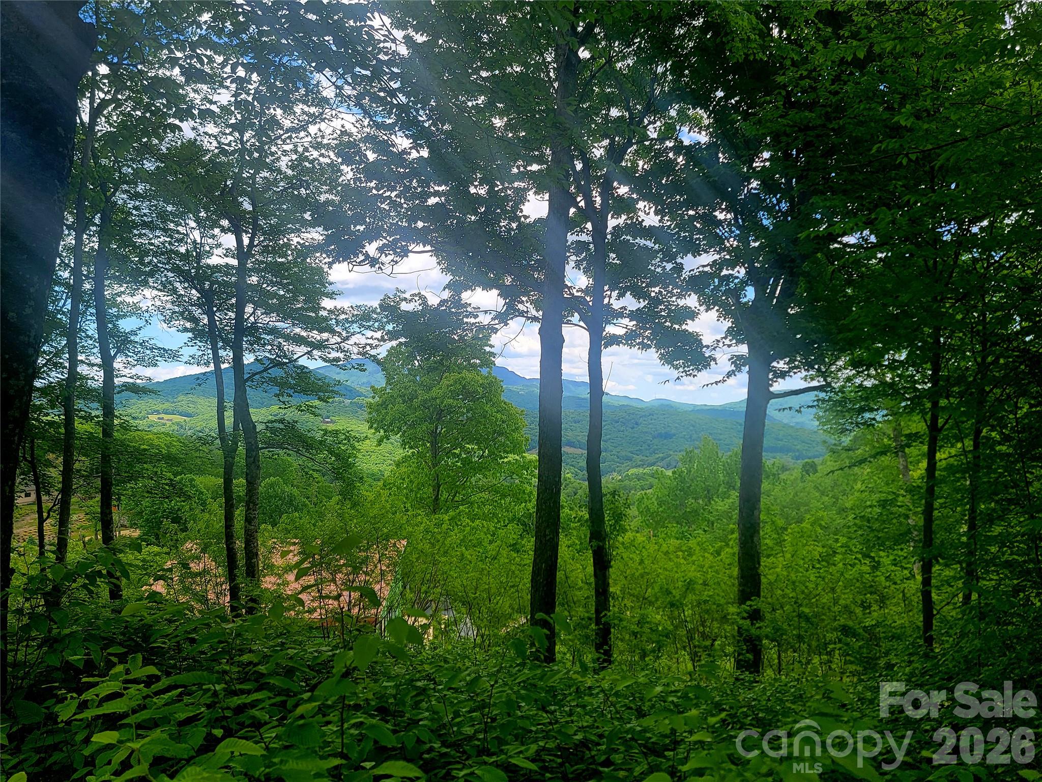 39 Skycamp Trail Property Photo 2
