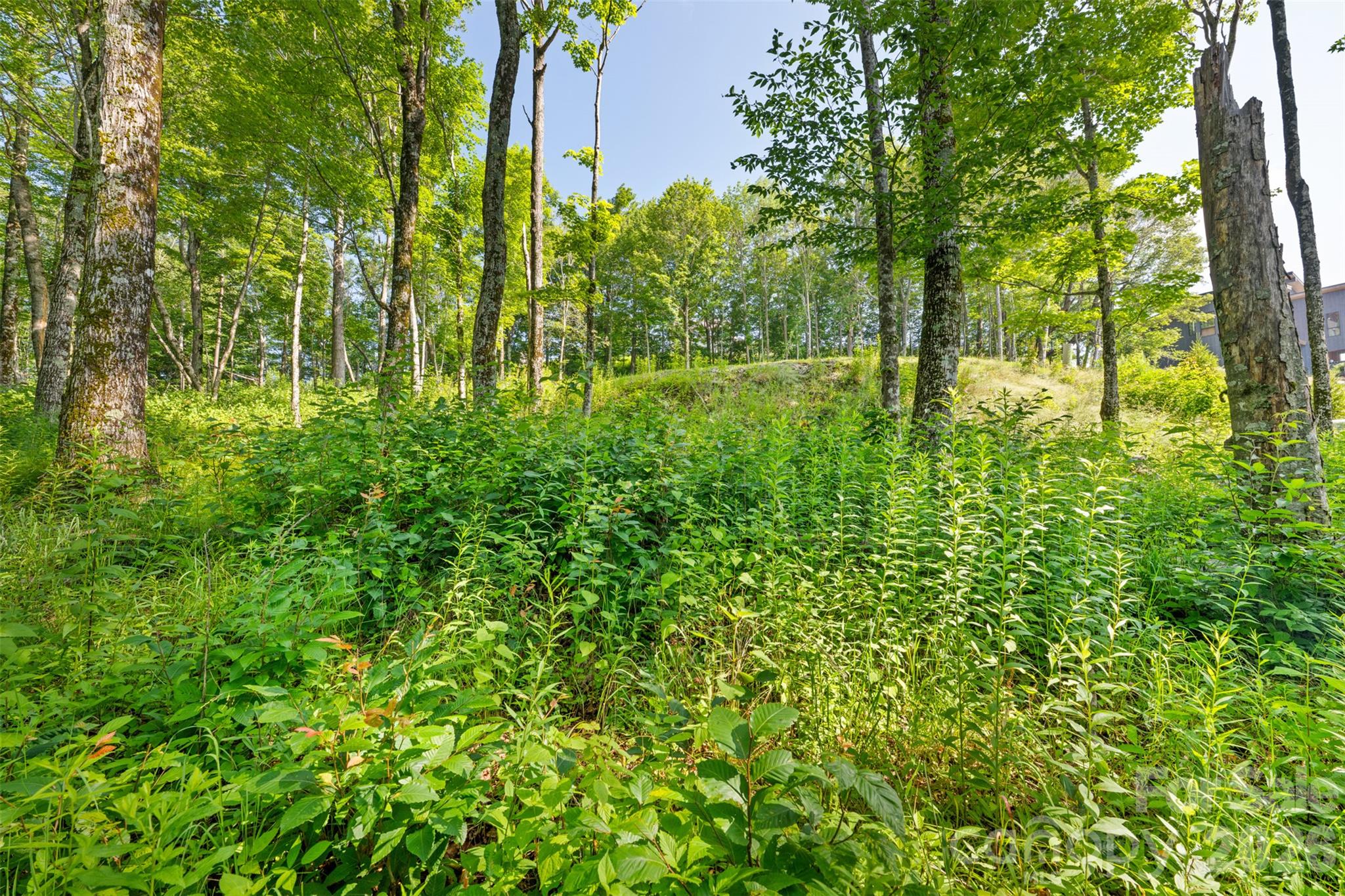 39 Skycamp Trail Property Photo 3
