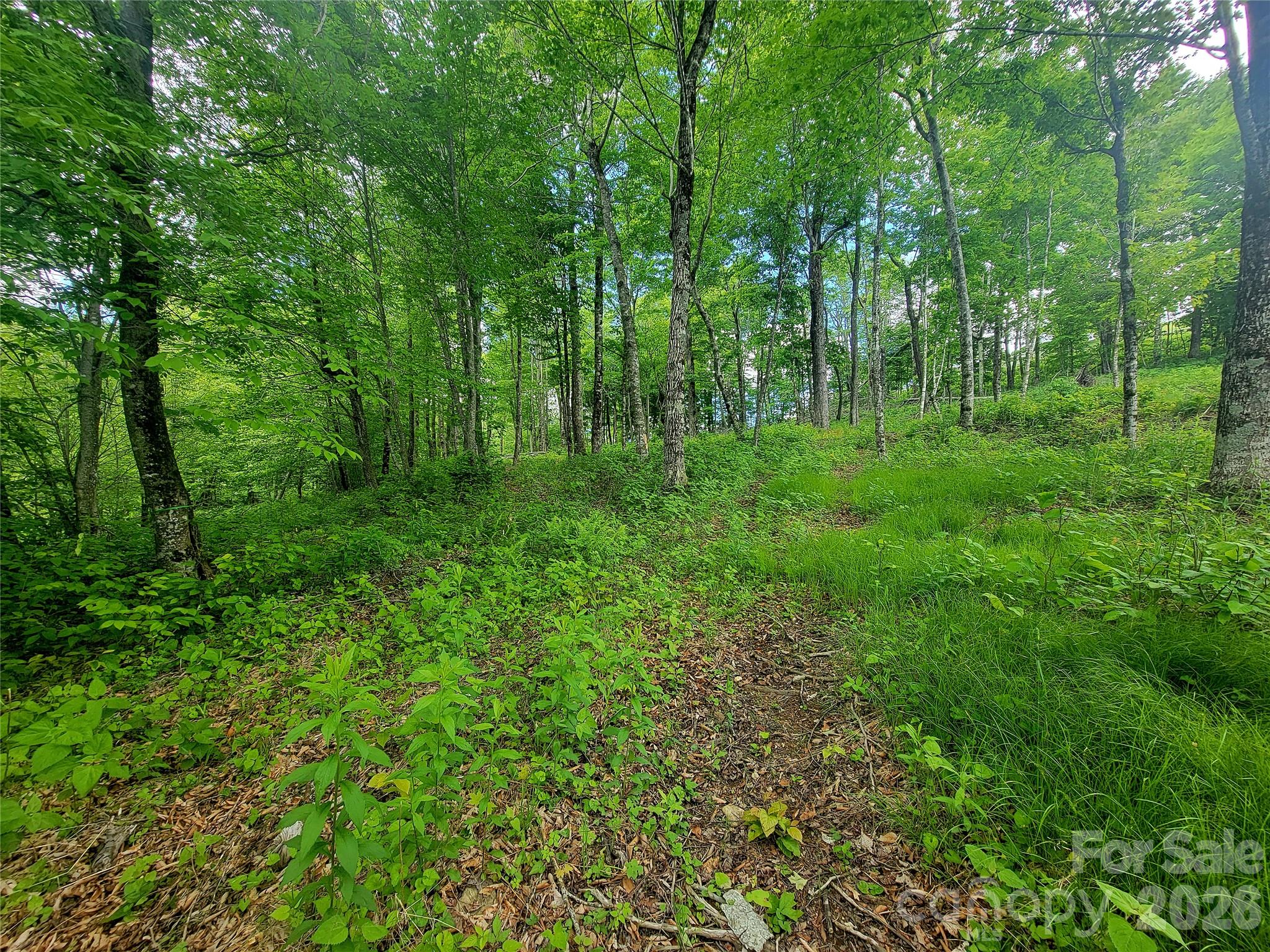 39 Skycamp Trail Property Photo 7