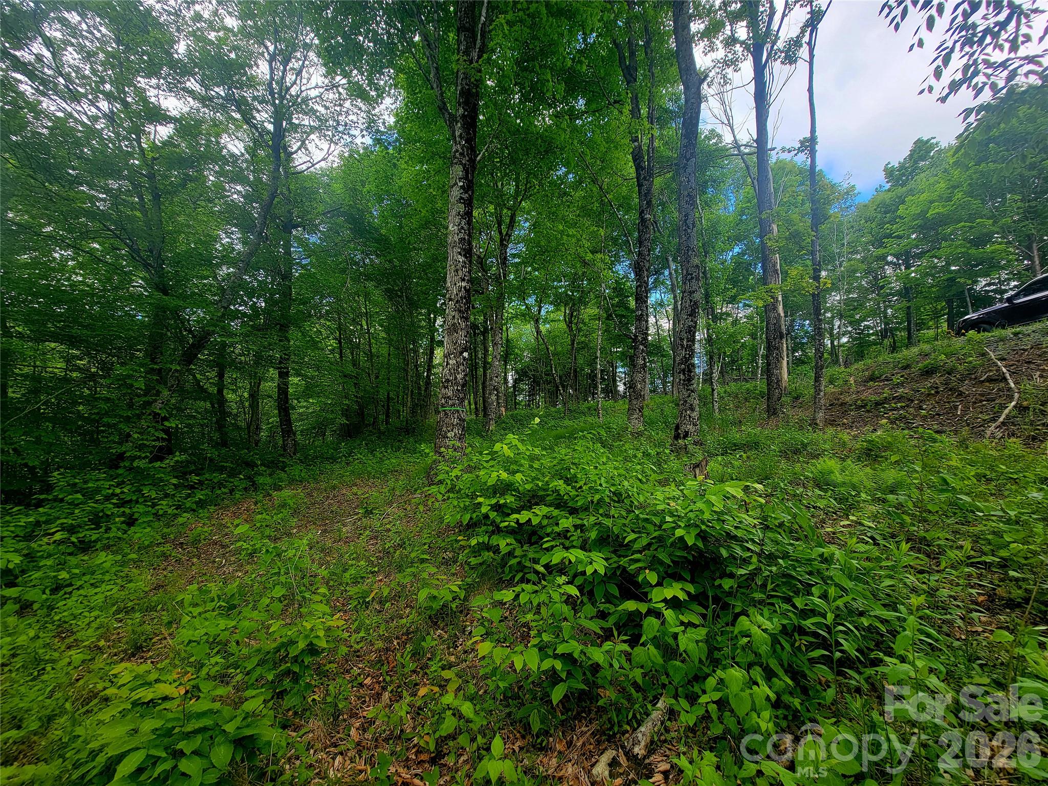 39 Skycamp Trail Property Photo 8