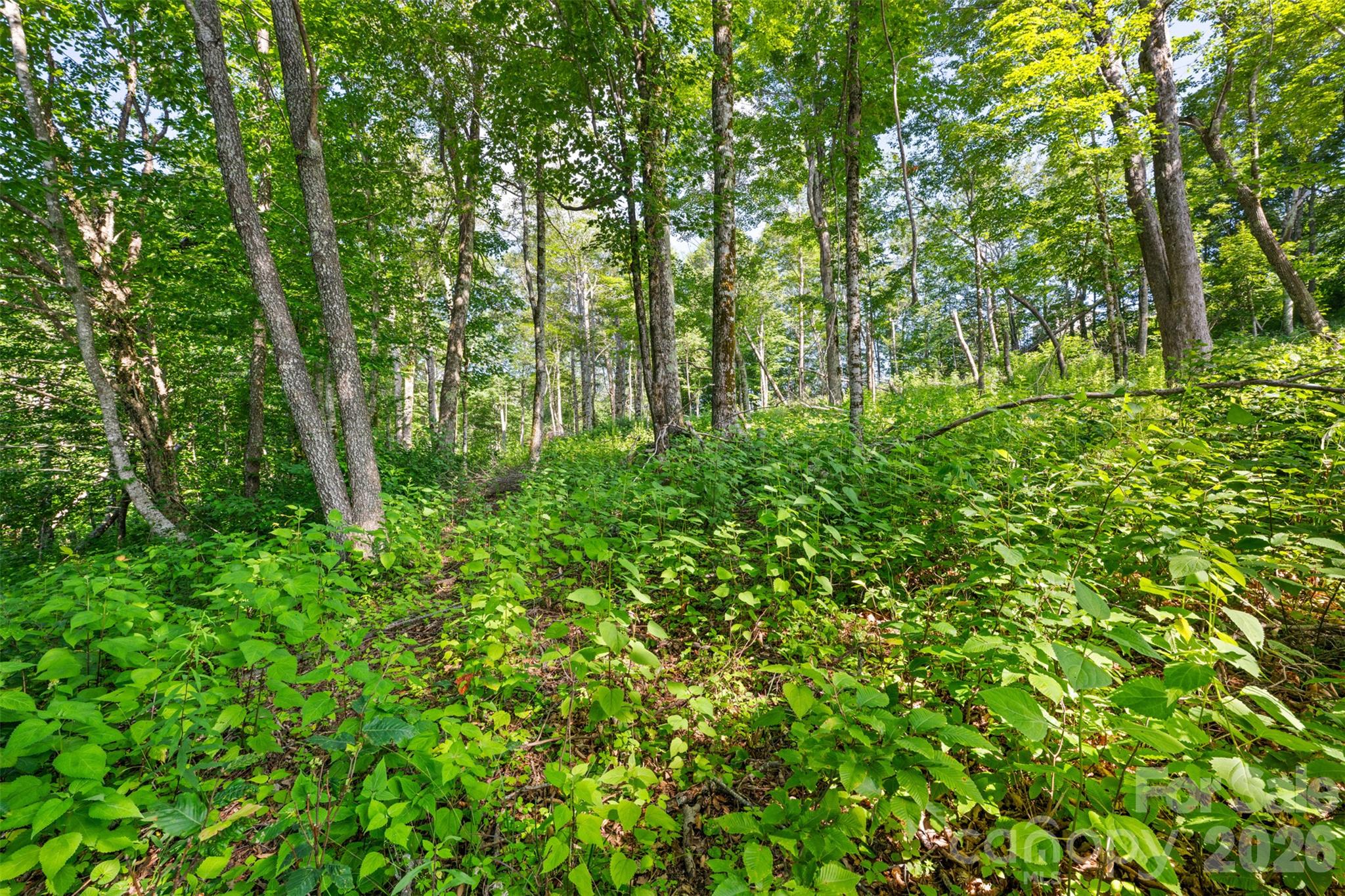 39 Skycamp Trail Property Photo 9