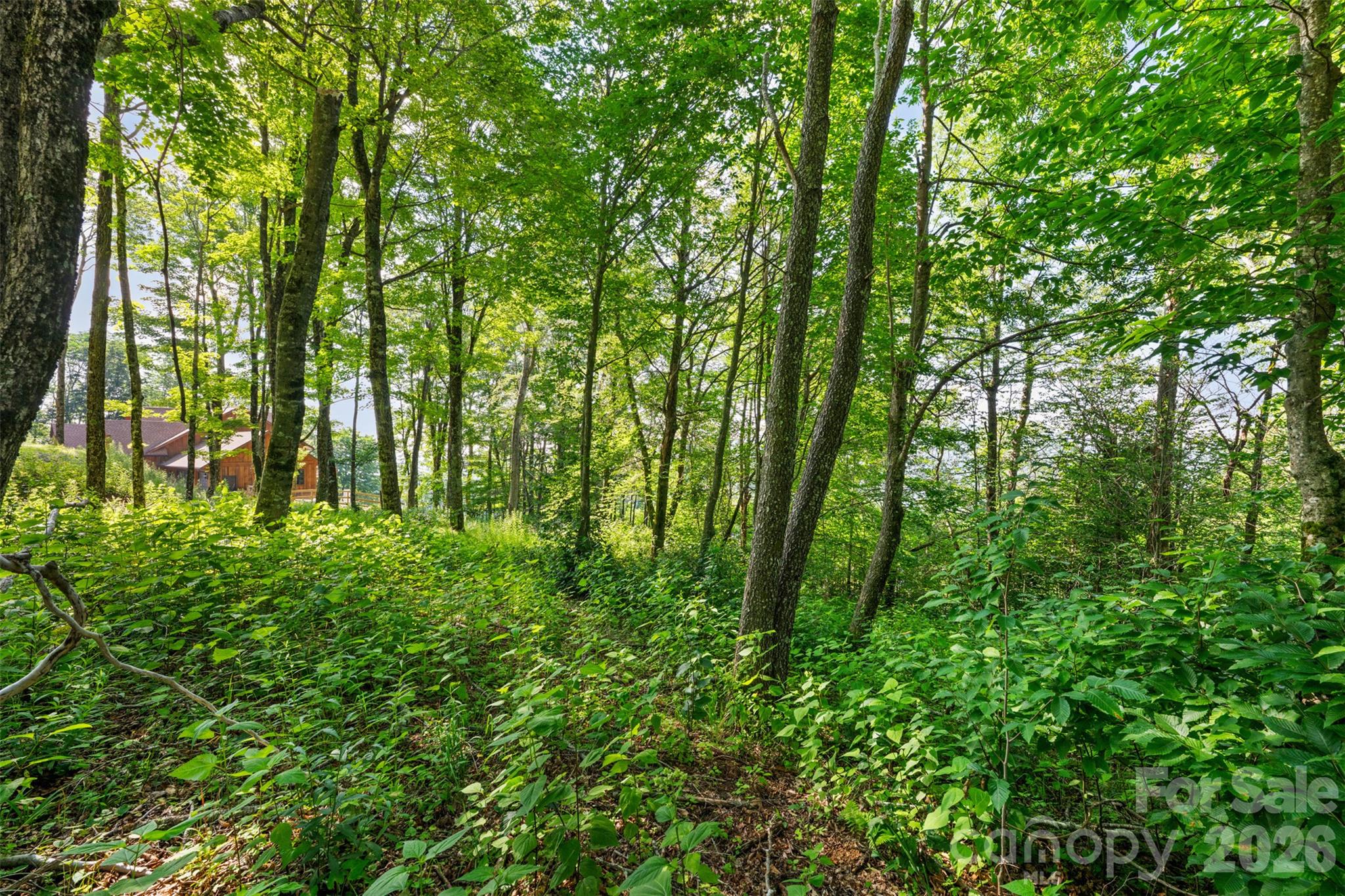 39 Skycamp Trail Property Photo 10