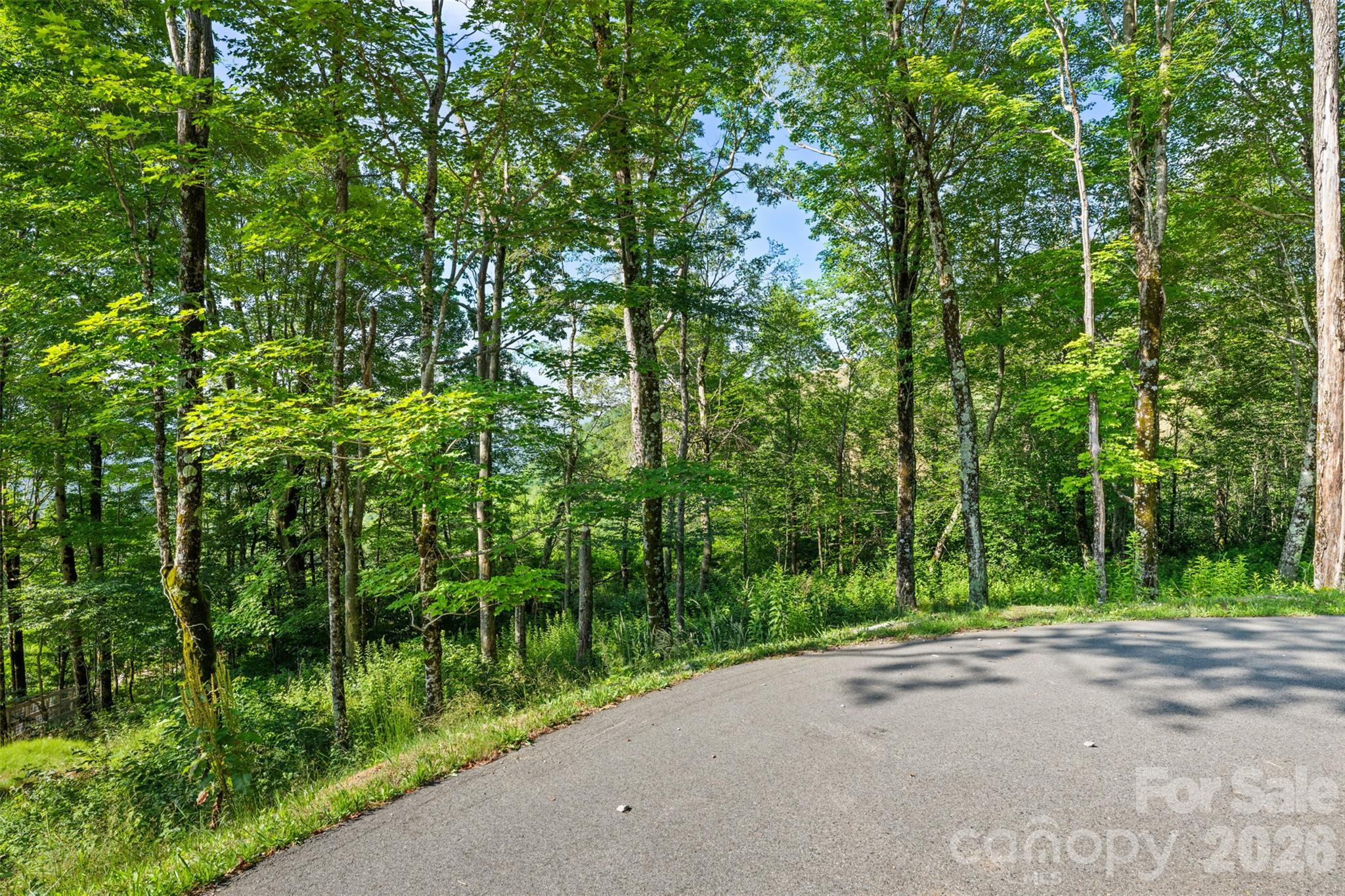 39 Skycamp Trail Property Photo 11