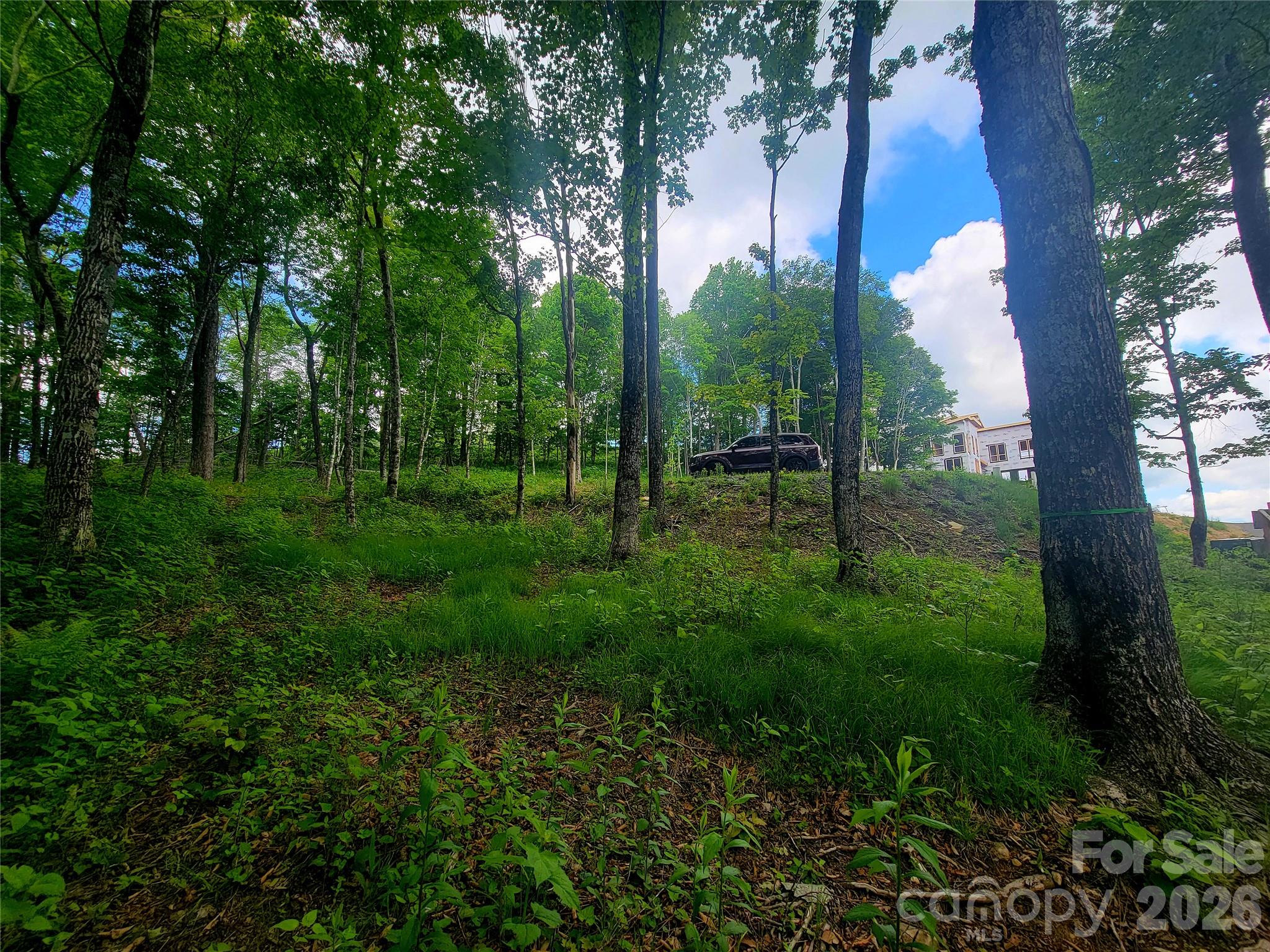 39 Skycamp Trail Property Photo 17