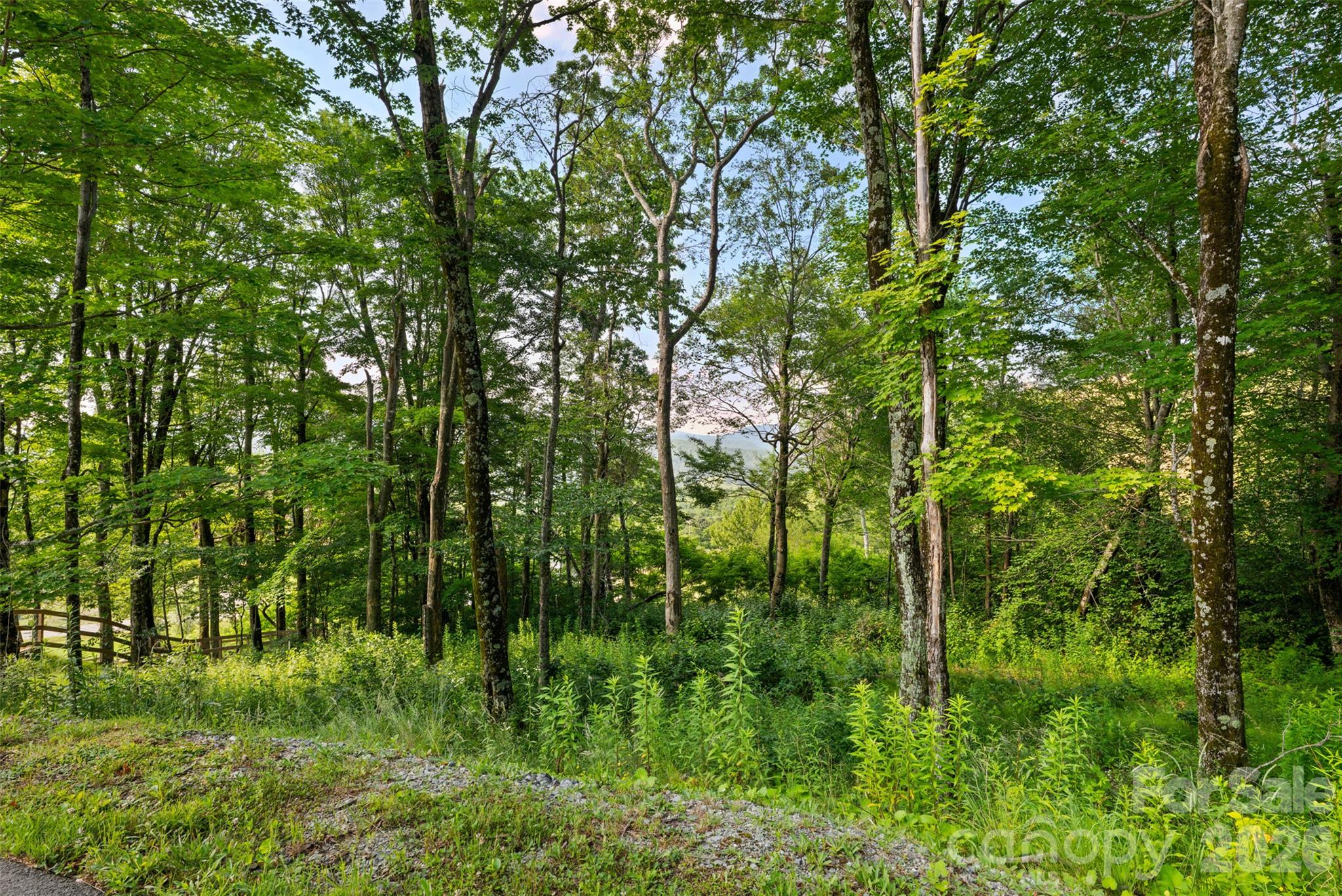 39 Skycamp Trail Property Photo 18