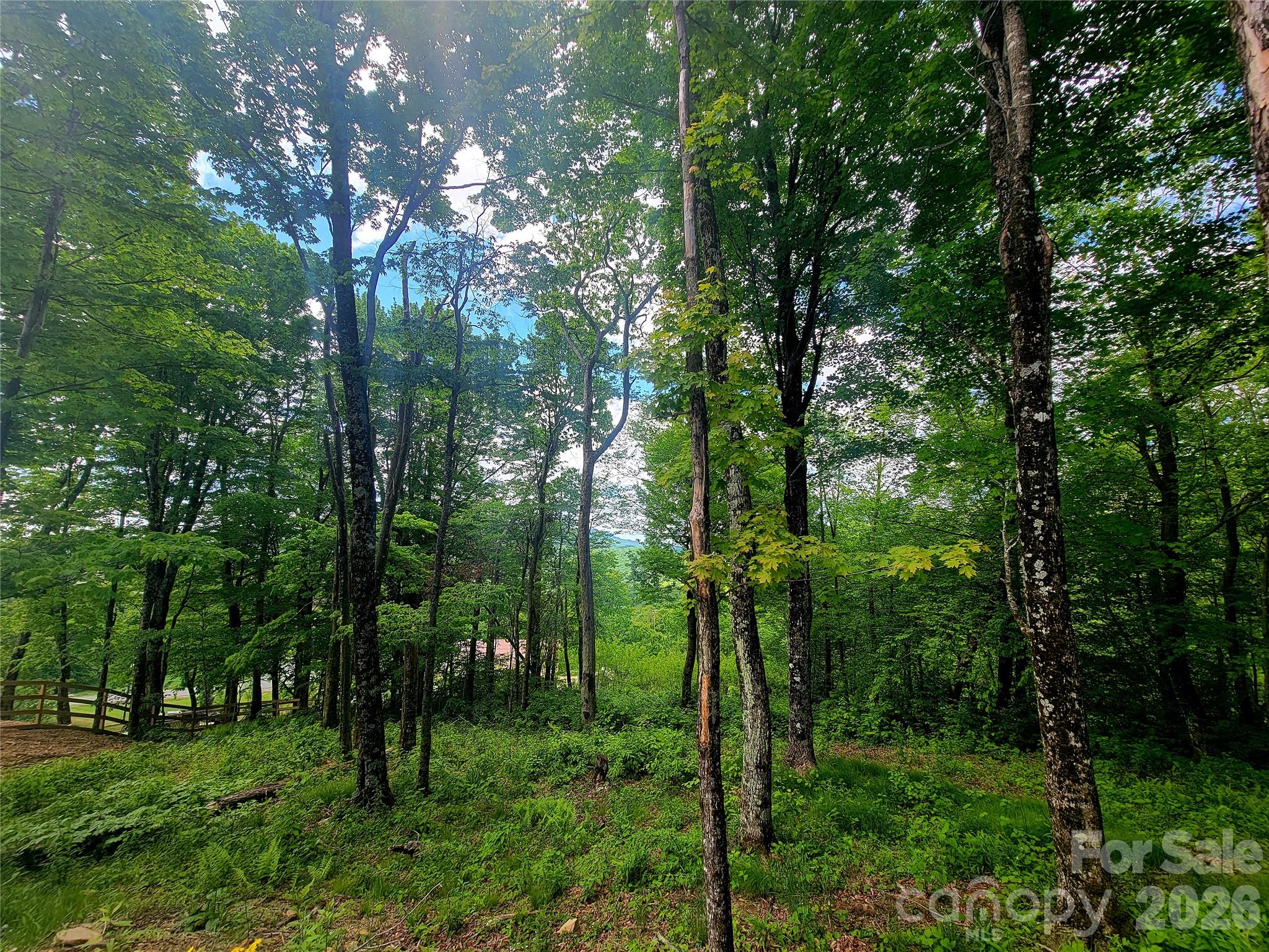 39 Skycamp Trail Property Photo 20