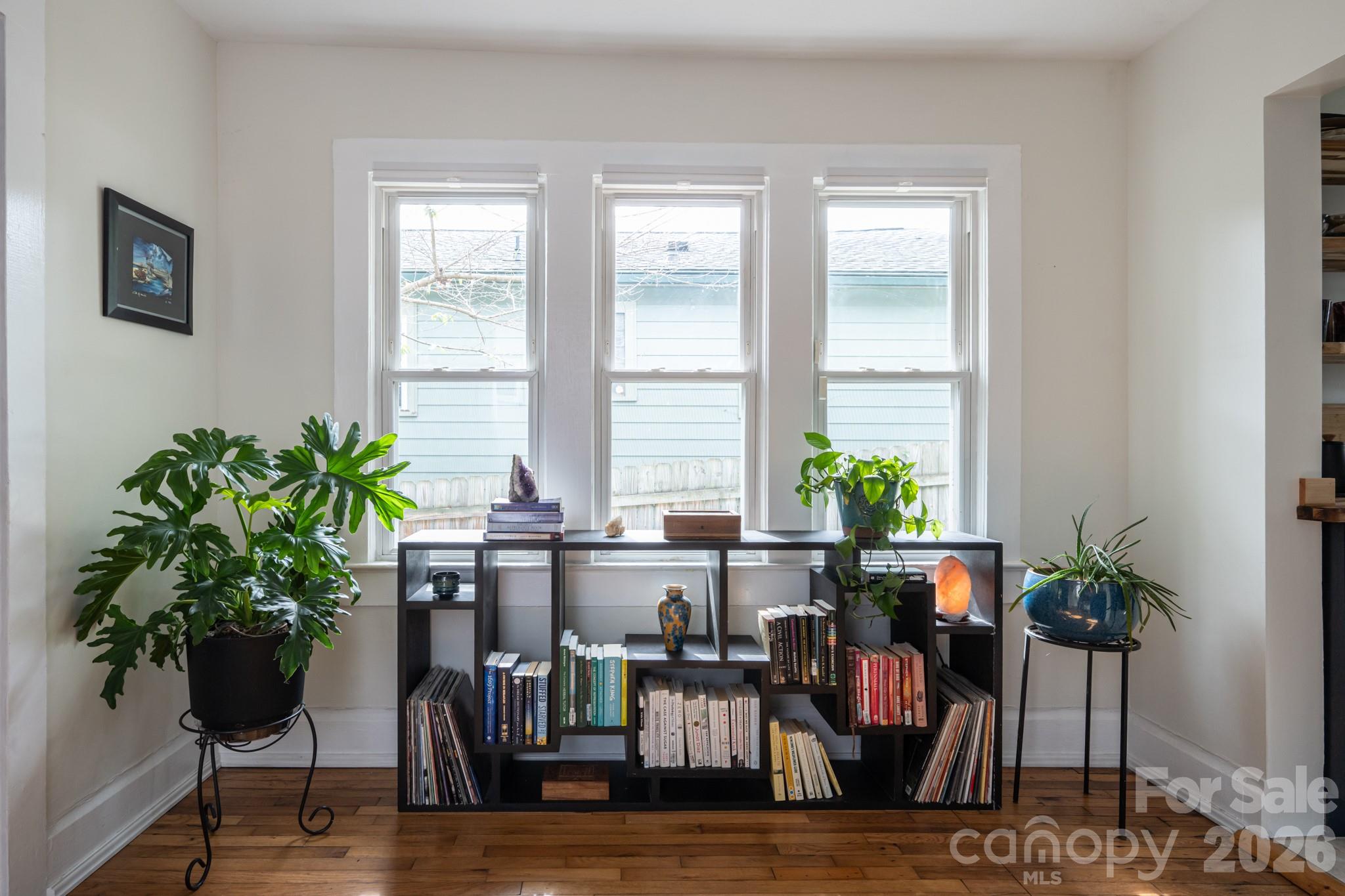 45 Olive Street Property Photo 9