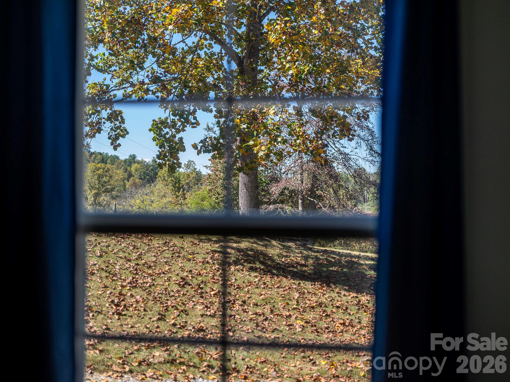 67 Allman Hill Road Property Photo 19
