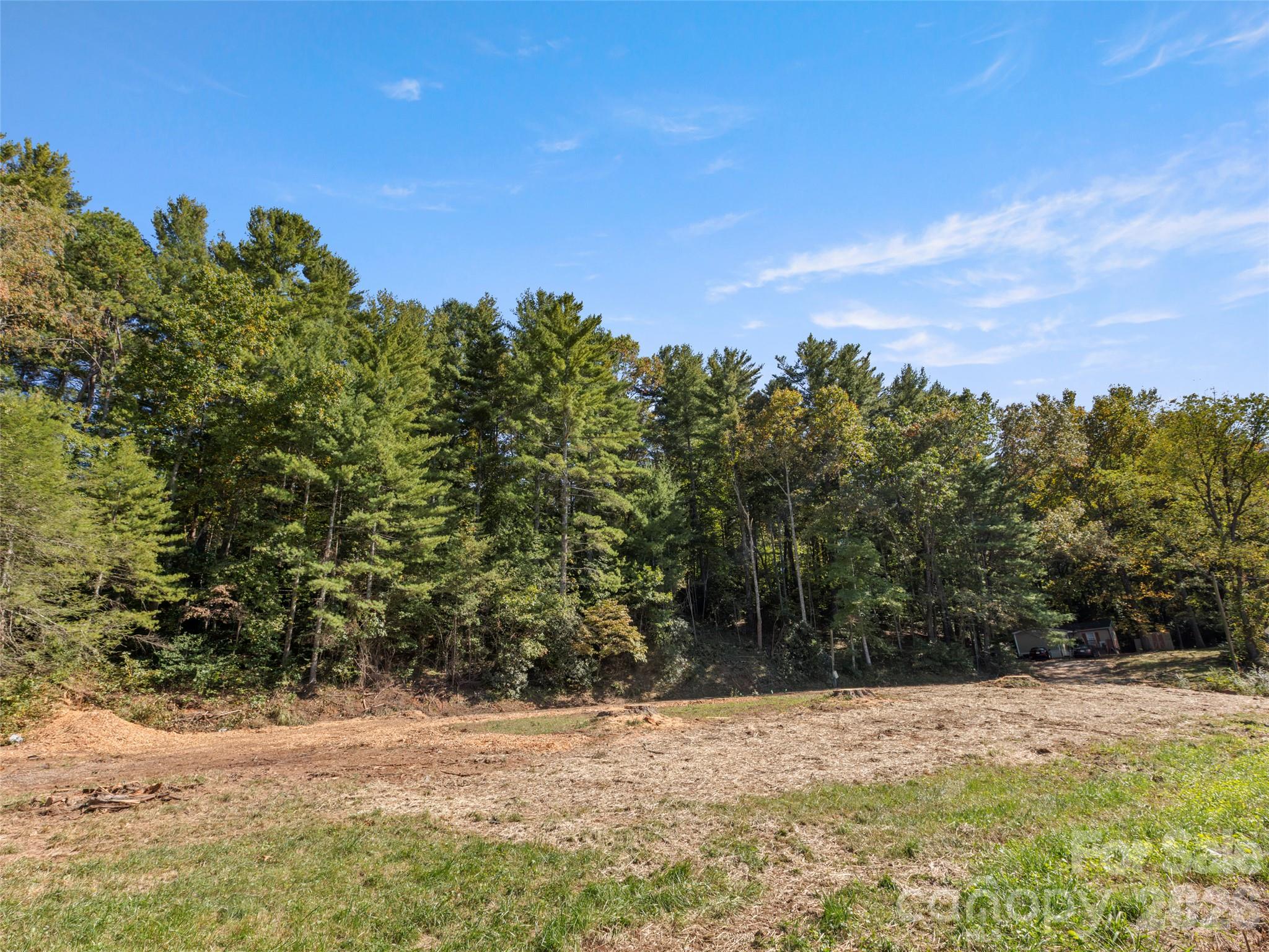 920 Mills Gap Road Property Photo 3