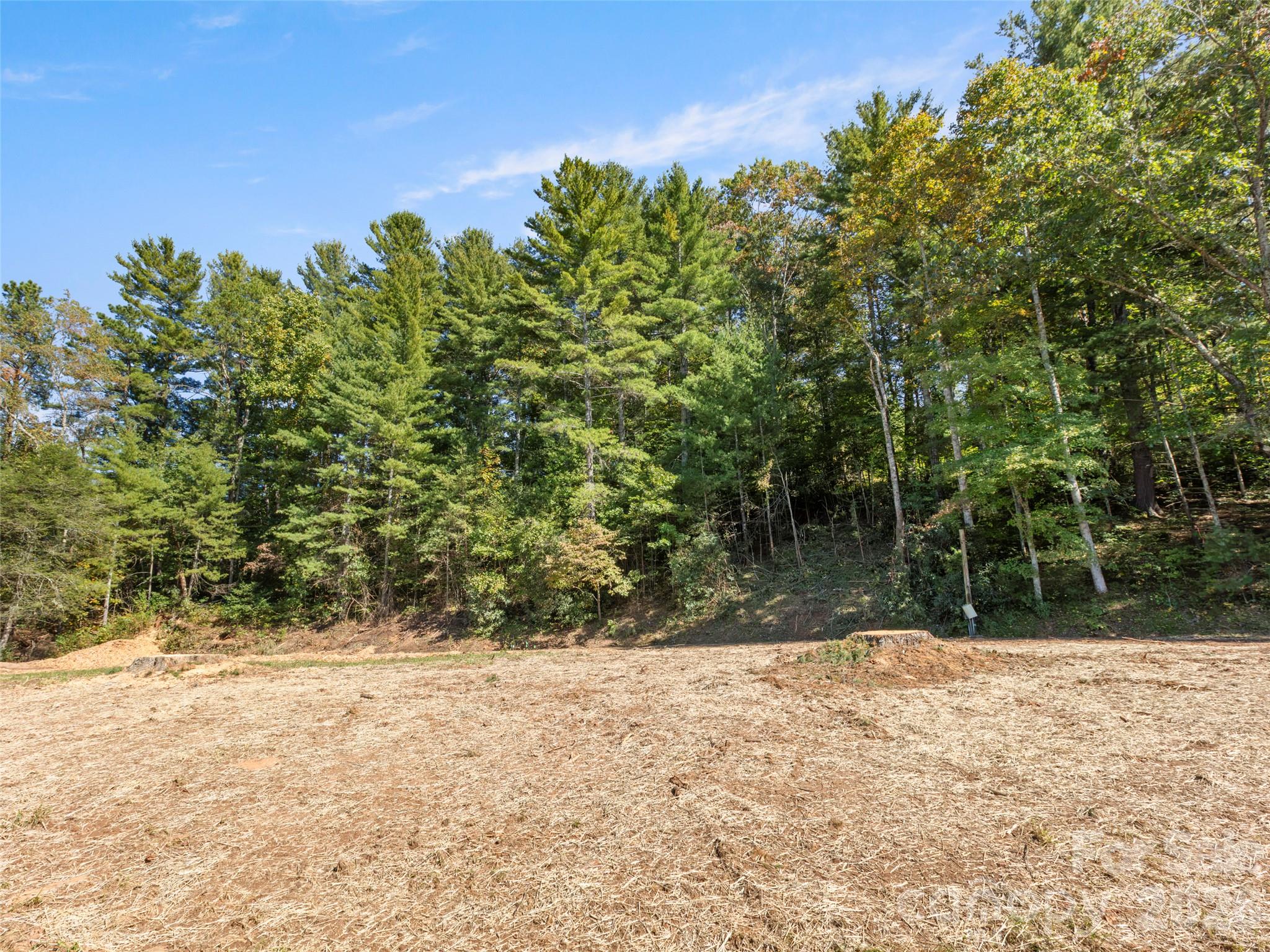 920 Mills Gap Road Property Photo 4