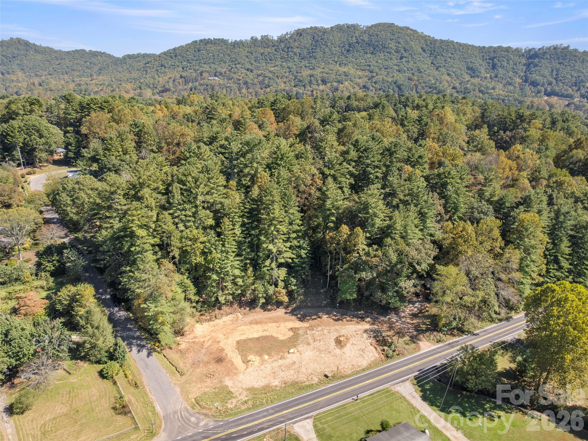 920 Mills Gap Road Property Photo 6