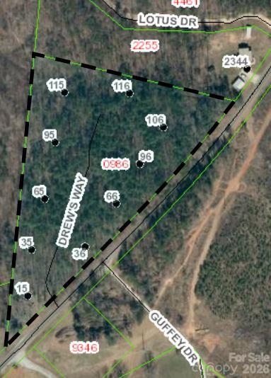 106 Vein Mountain Road 7 Property Photo 2