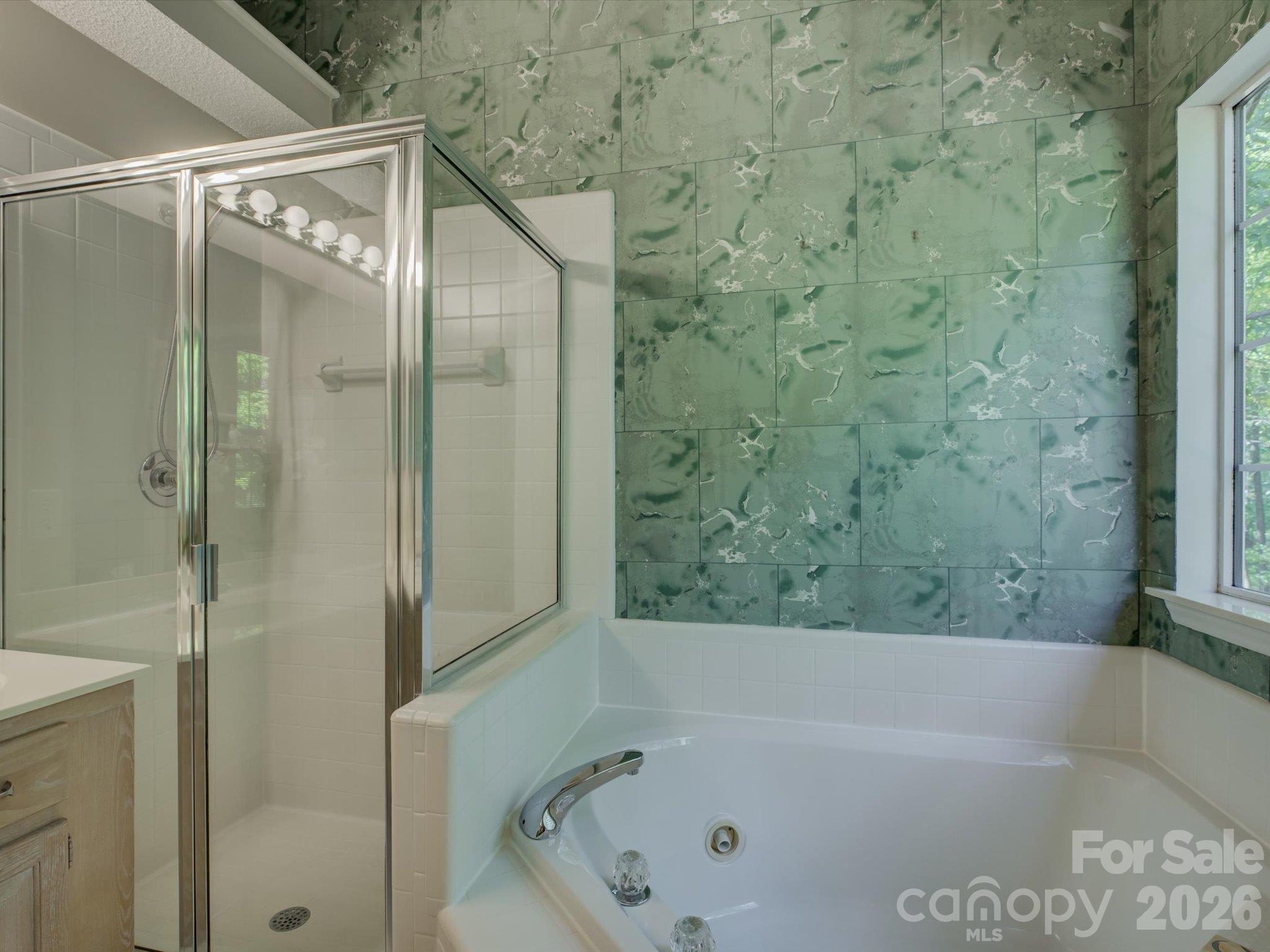 9207 Rainbow Forest Drive Property Photo 32
