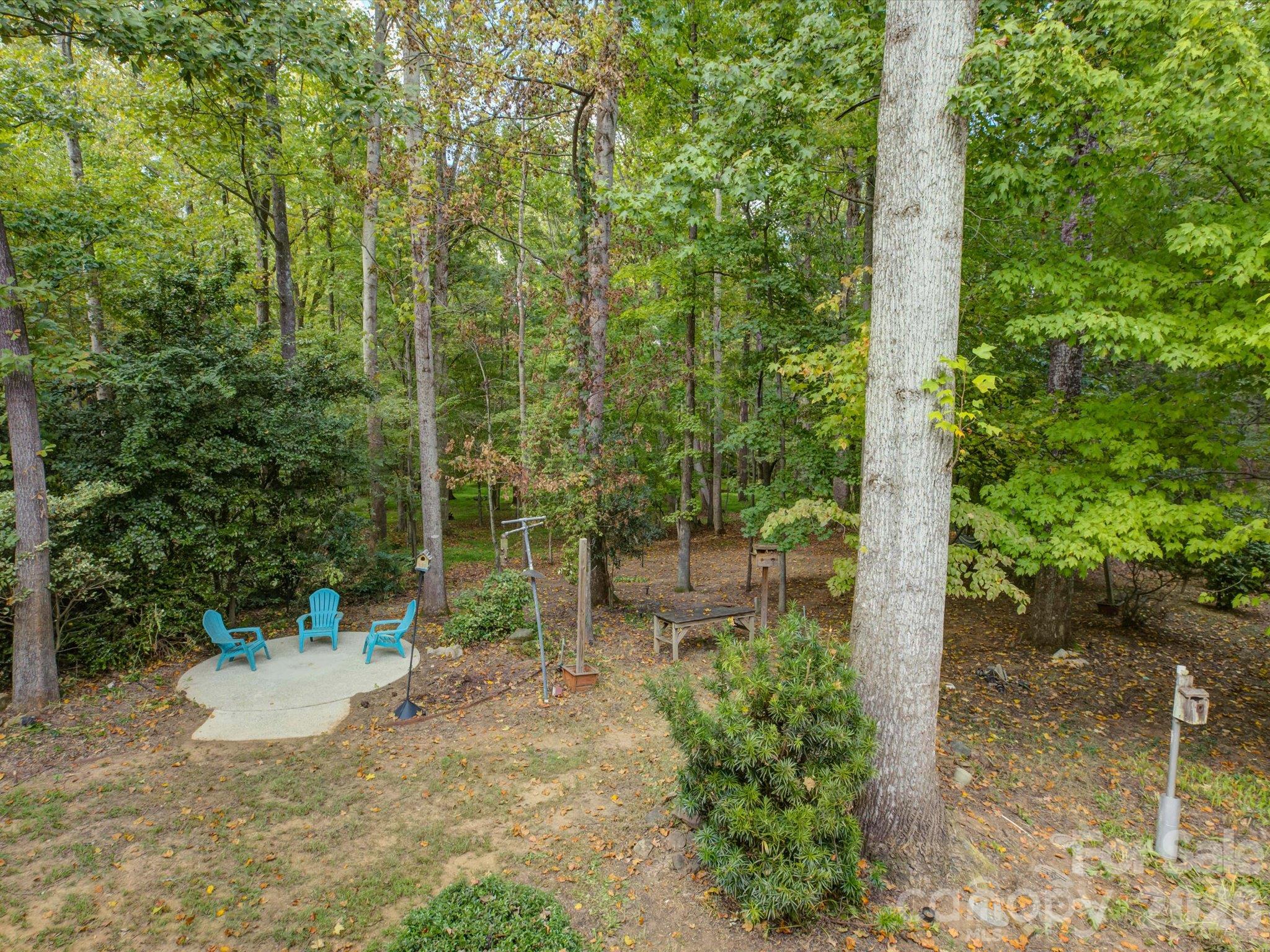 9207 Rainbow Forest Drive Property Photo 42