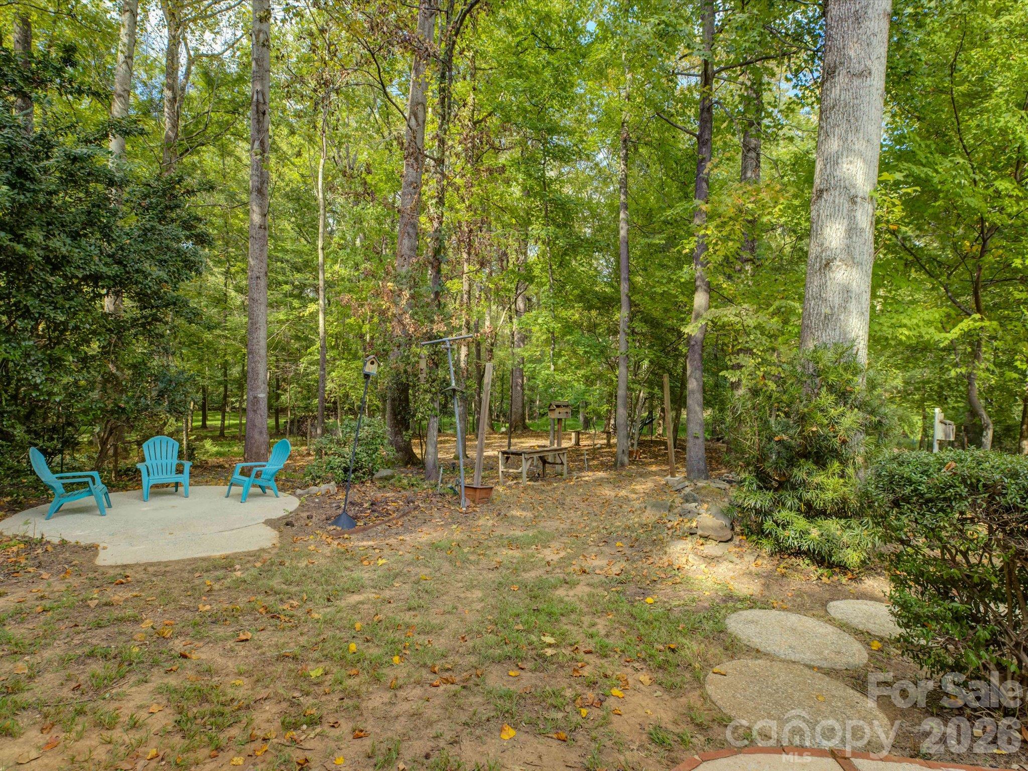 9207 Rainbow Forest Drive Property Photo 47