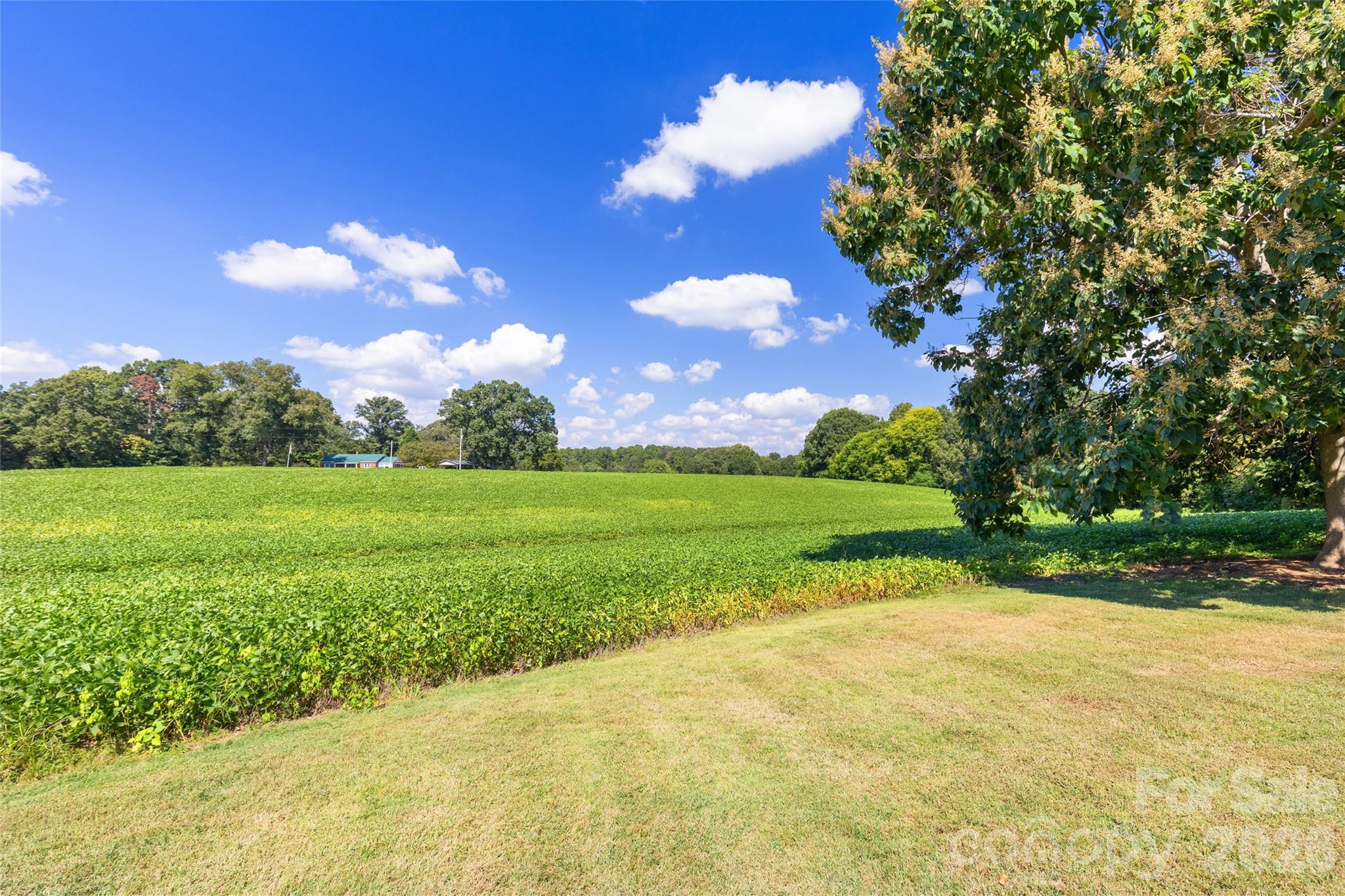 3517 Zebulon Williams Road Property Photo 45