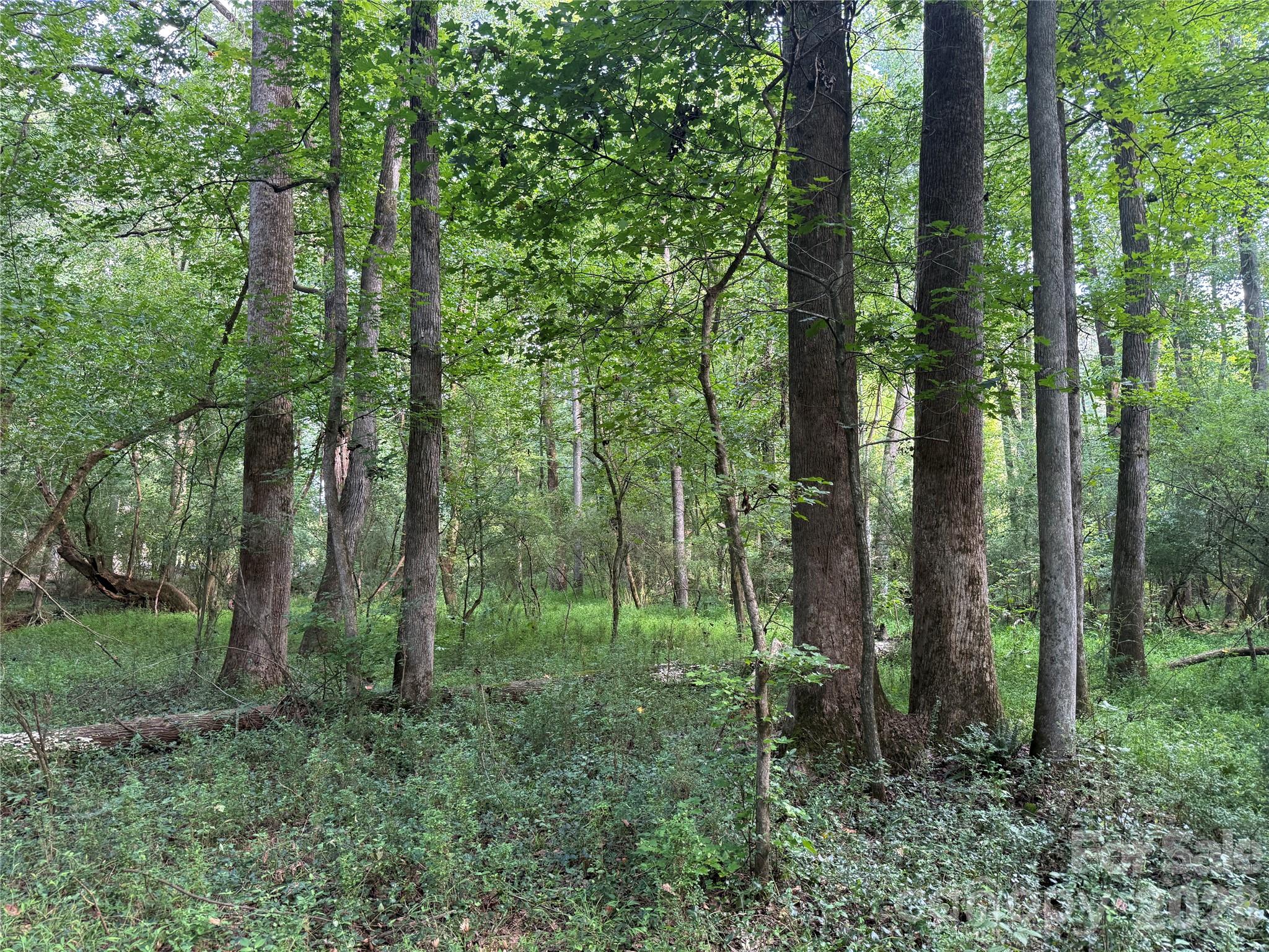 Tbd Sincerity Road Property Photo 6