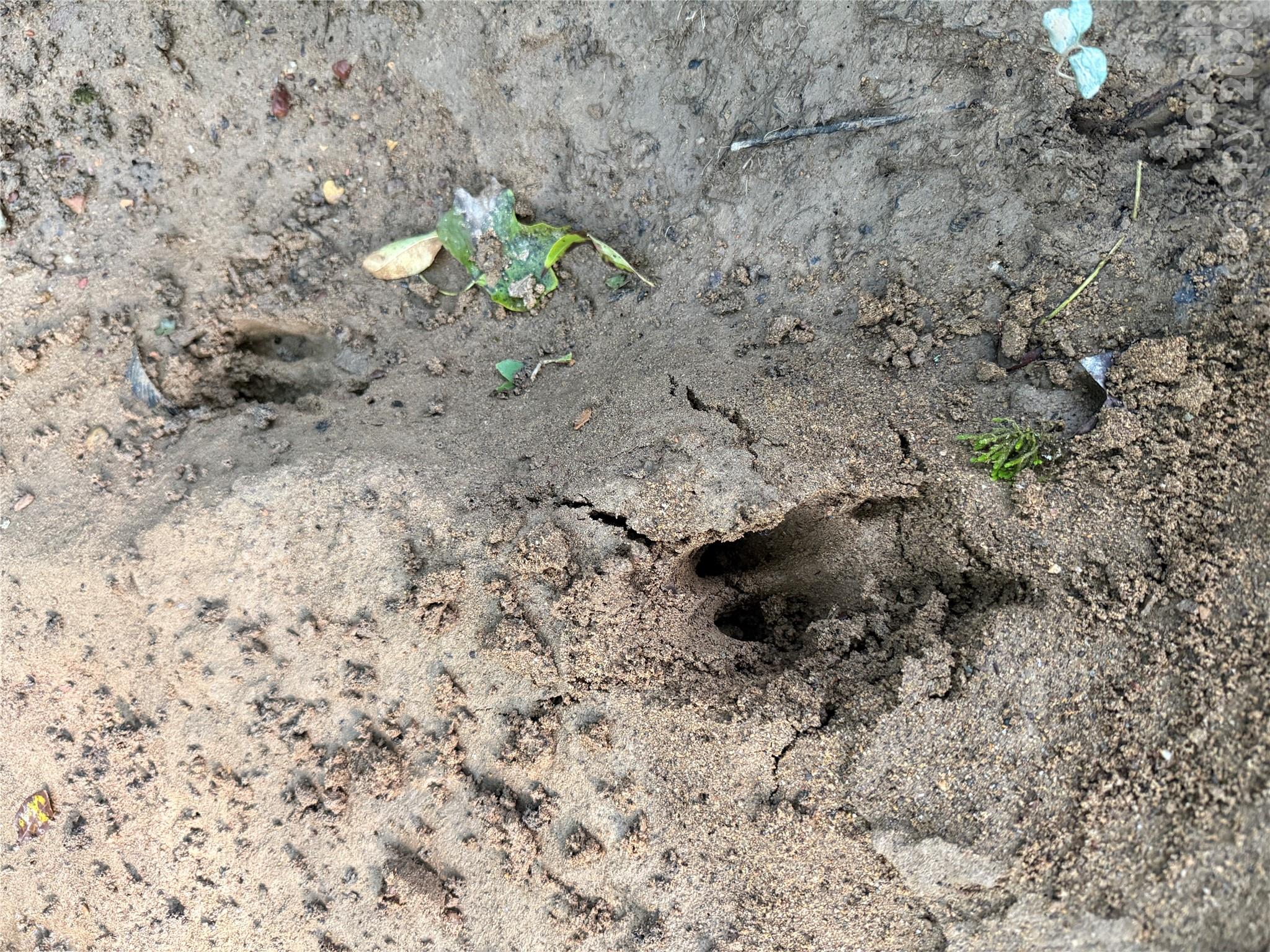 Tbd Sincerity Road Property Photo 7