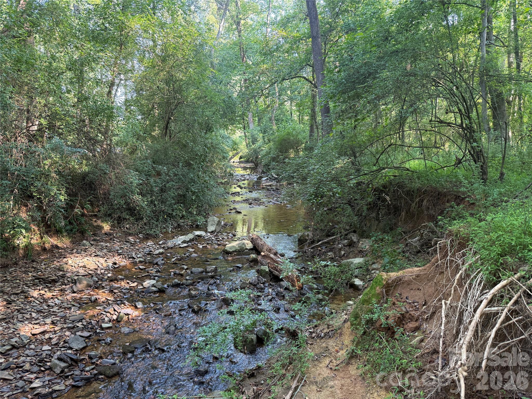 Tbd Sincerity Road Property Photo 8