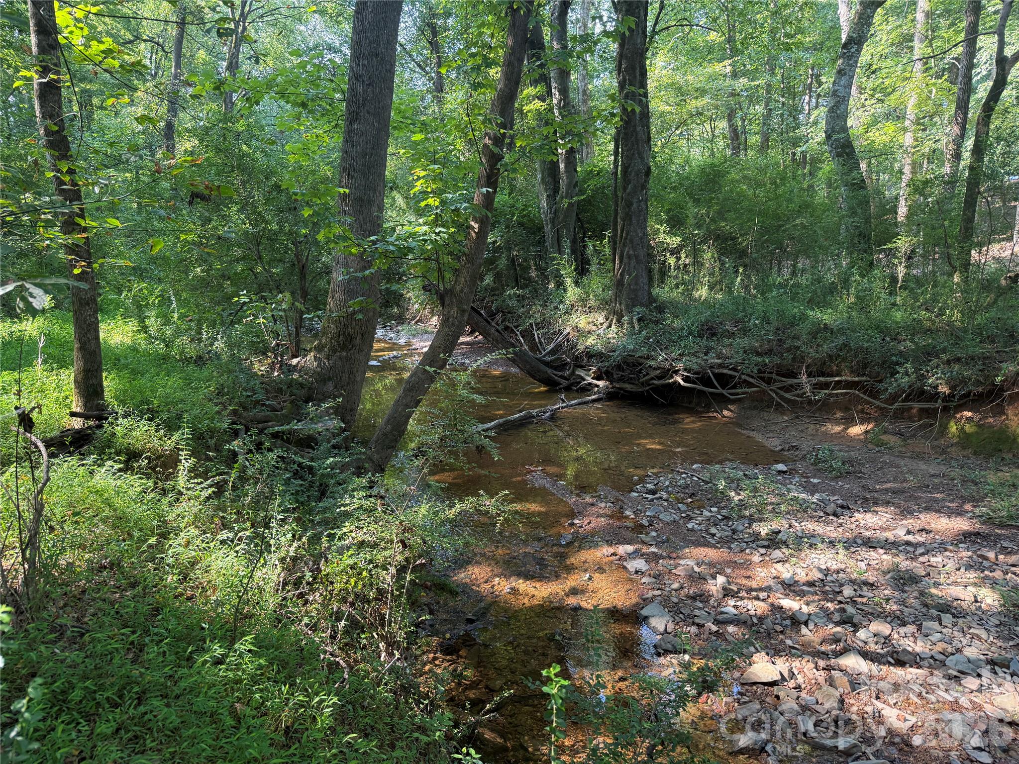 Tbd Sincerity Road Property Photo 13