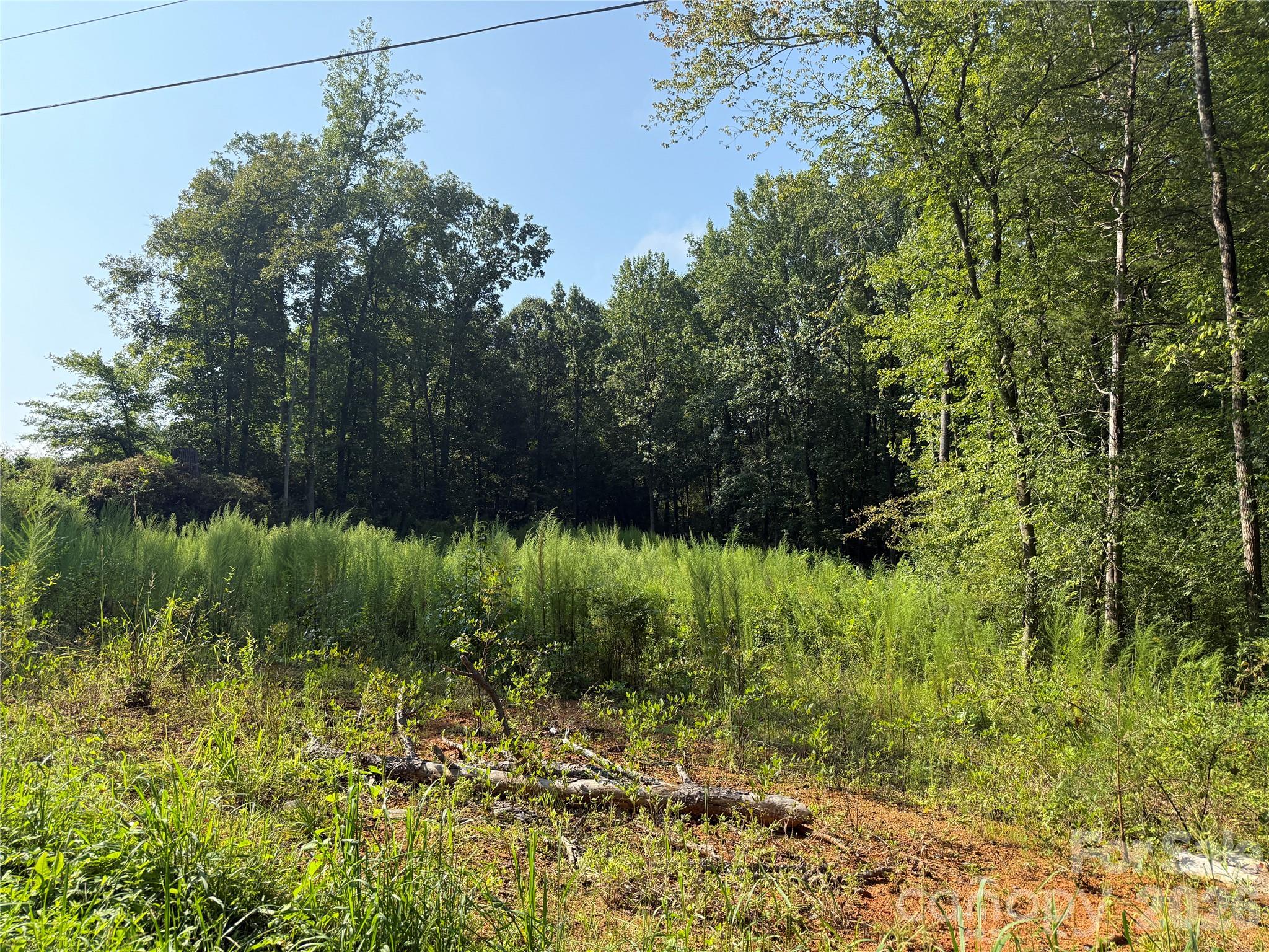 Tbd Sincerity Road Property Photo 16