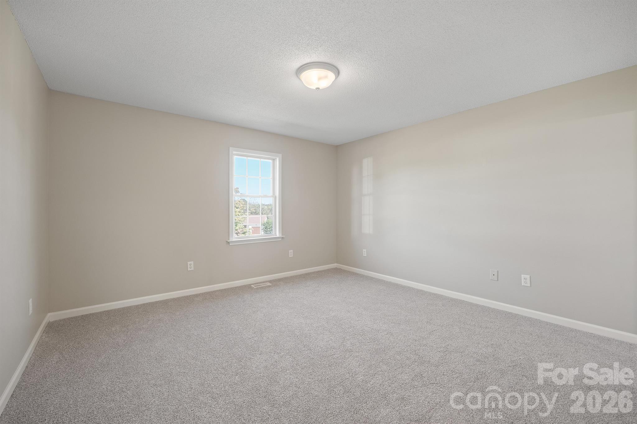 1061 Isenhour Court Property Photo 19