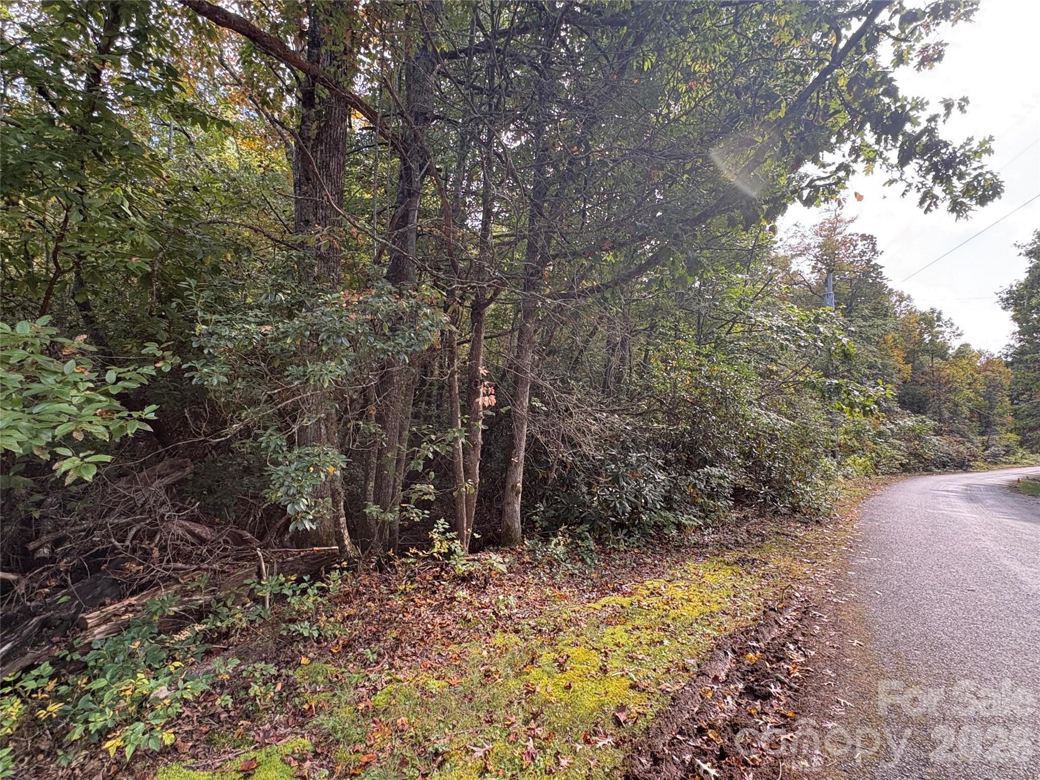 81 Bird Creek Estates Road Property Photo 6