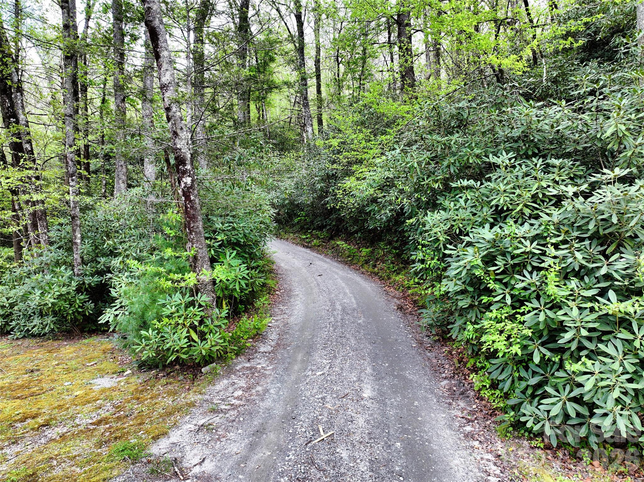 195 & 00000 Blueberry Farm Road Property Photo 23