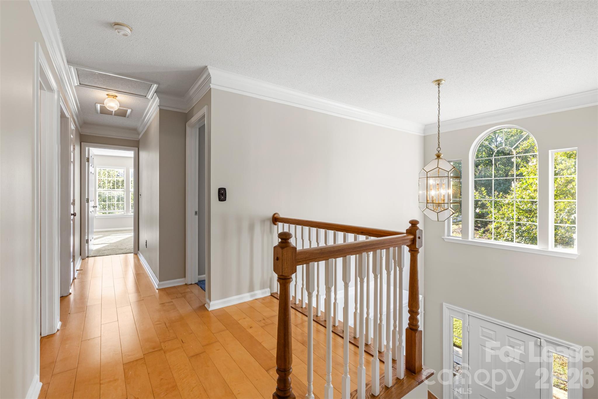 6102 Tesh Court Property Photo 14