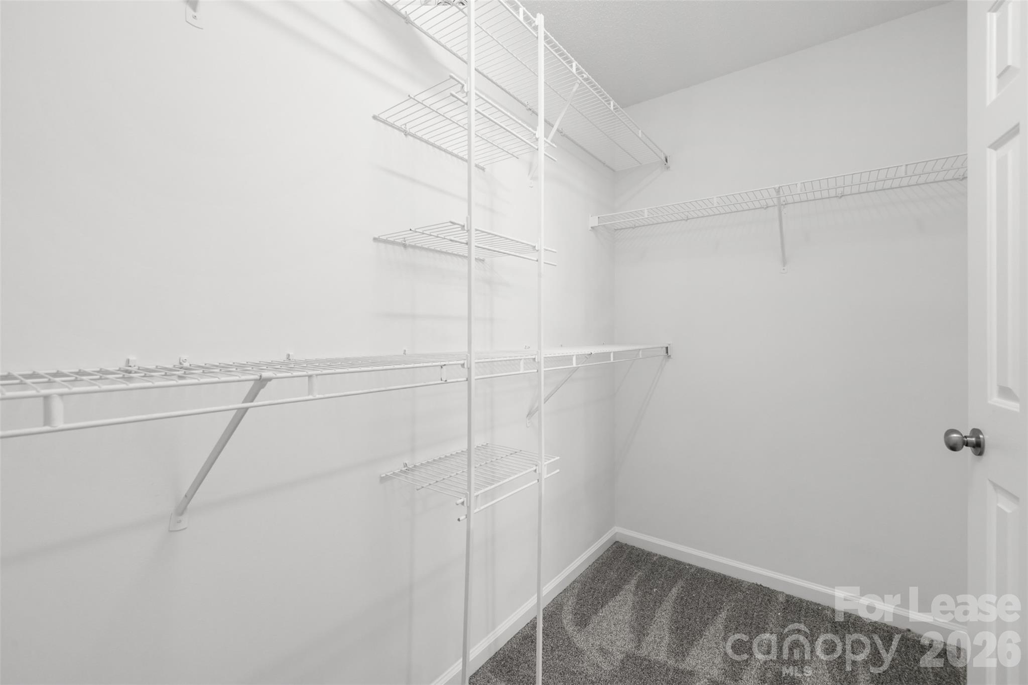 6102 Tesh Court Property Photo 22