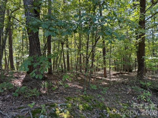 00 Washington Ridge Road Property Photo 1