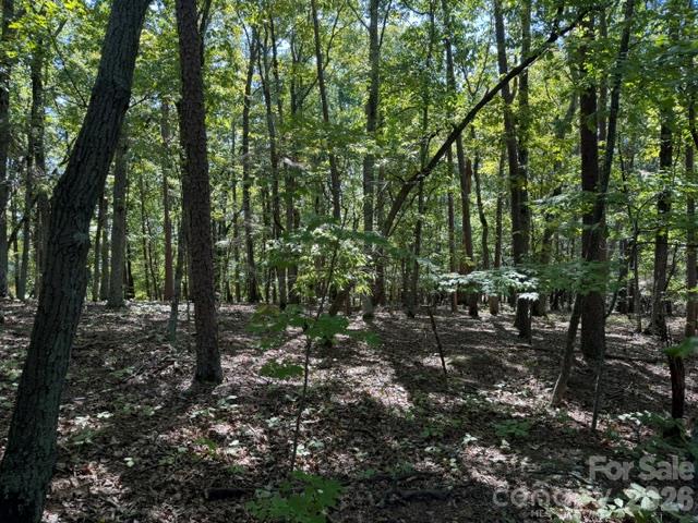 00 Washington Ridge Road Property Photo 3