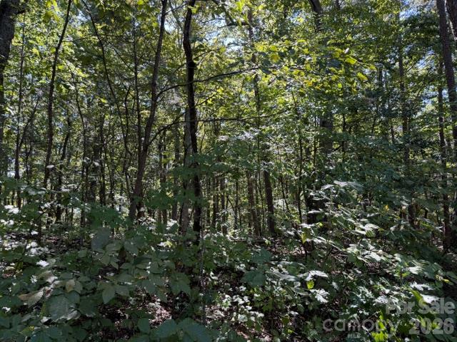 00 Washington Ridge Road Property Photo 6