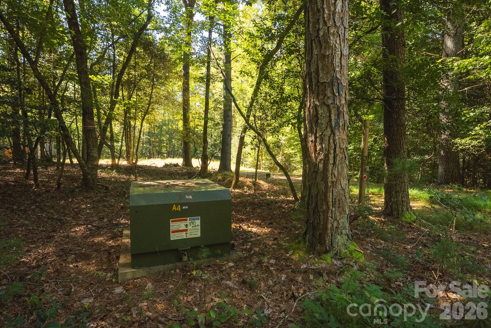 394 Rainbow Trout Drive Property Photo 3