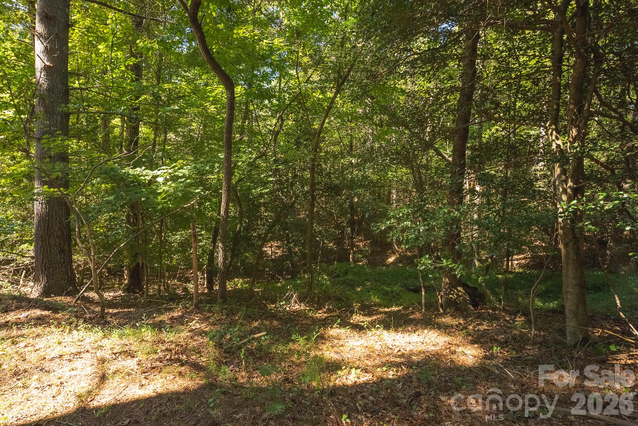 394 Rainbow Trout Drive Property Photo 6