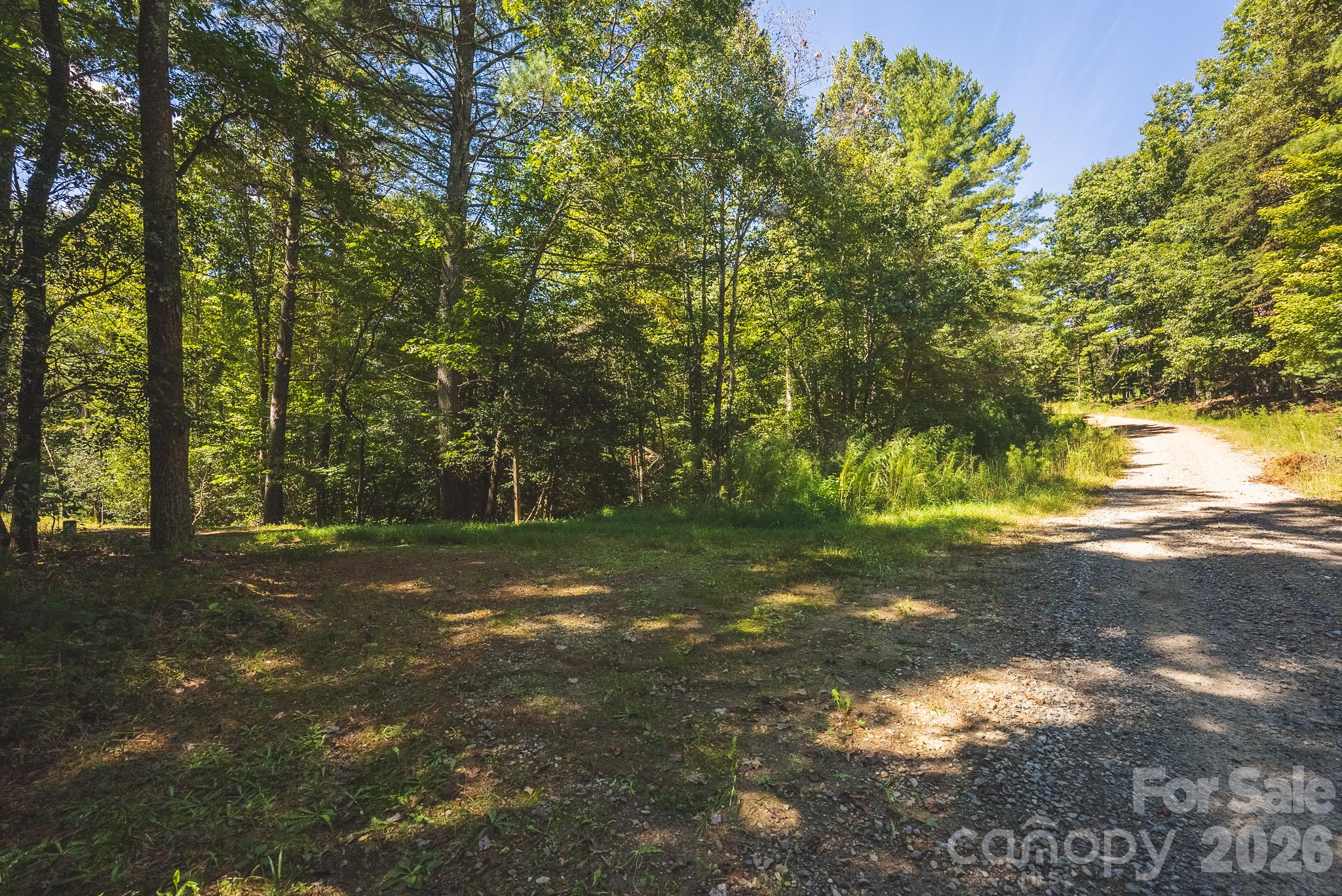 394 Rainbow Trout Drive Property Photo 8