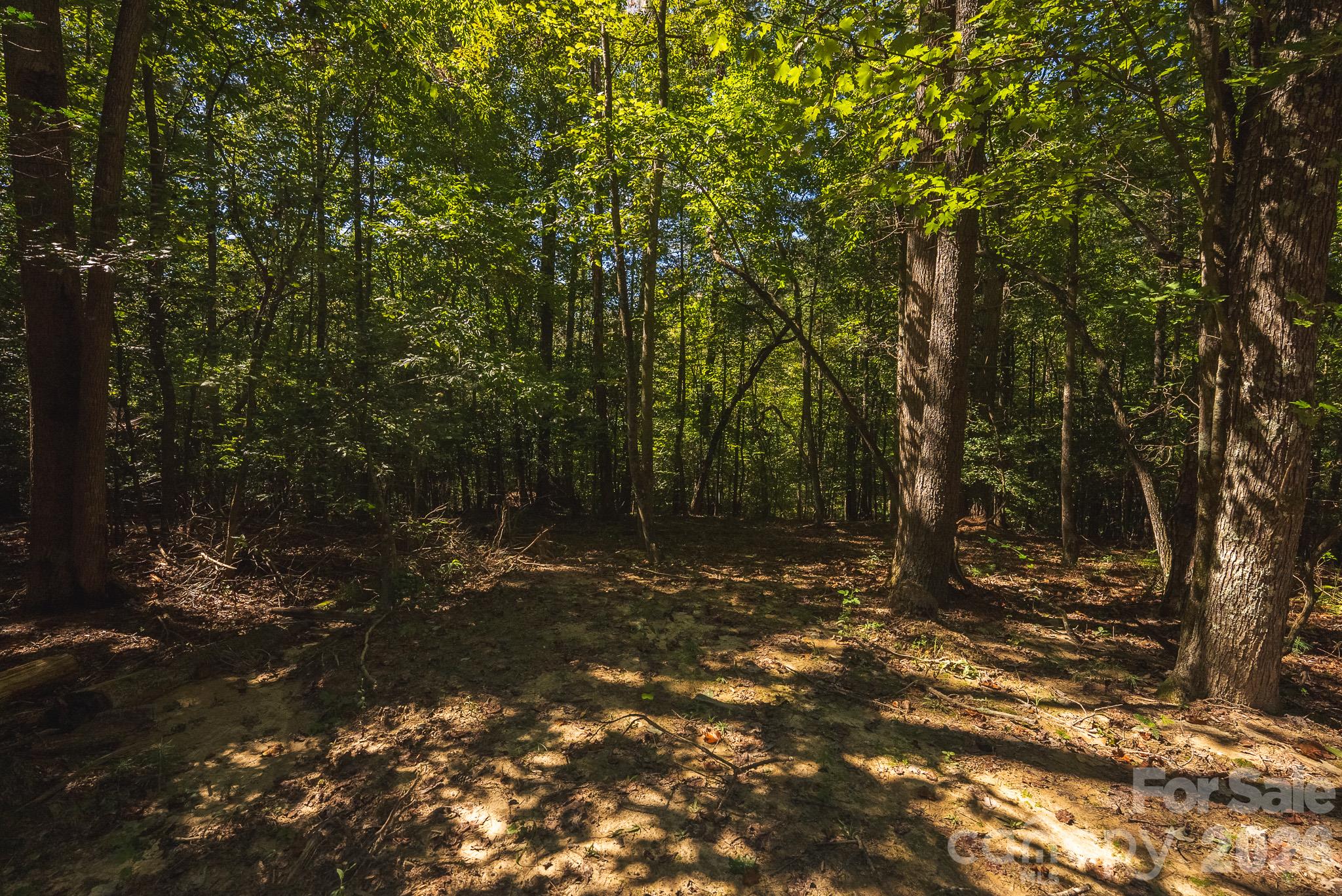 394 Rainbow Trout Drive Property Photo 10