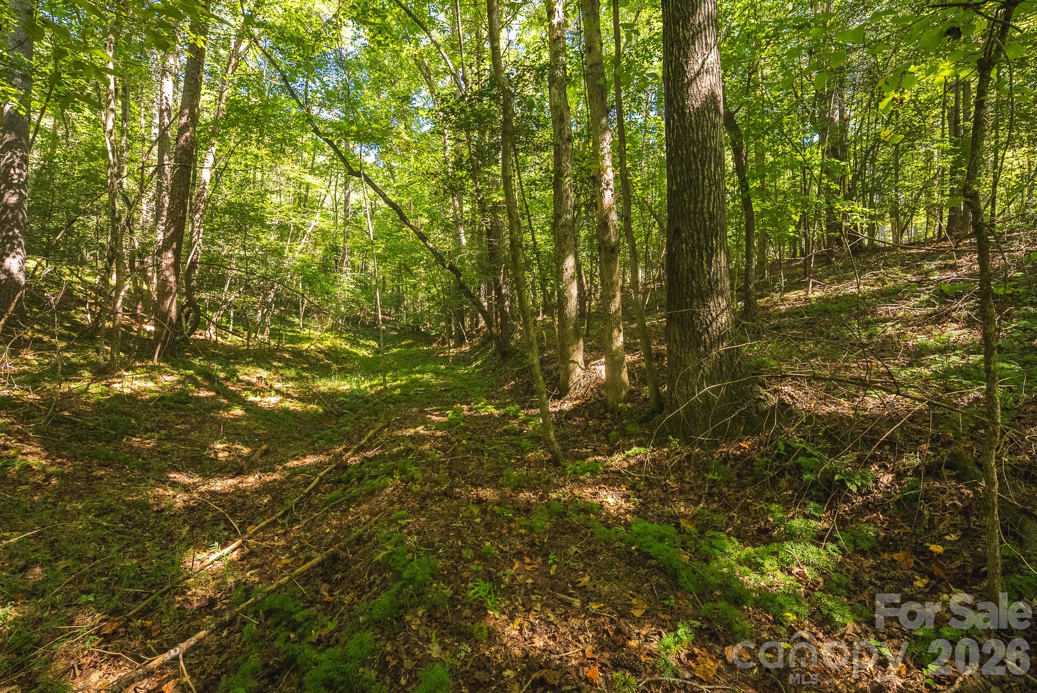 394 Rainbow Trout Drive Property Photo 12